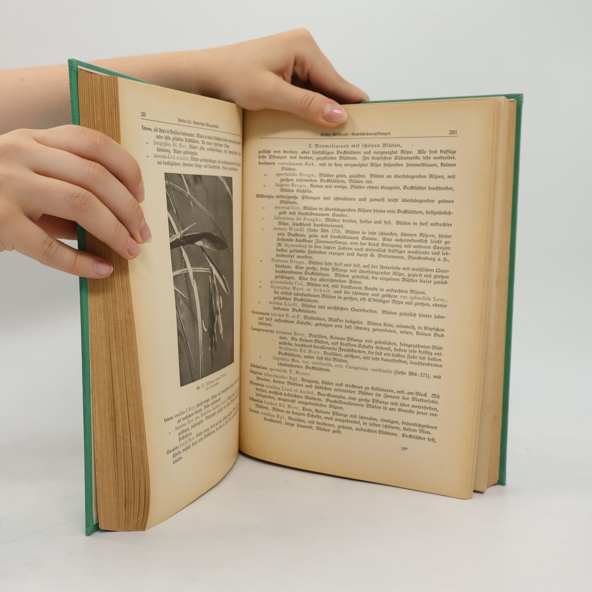 H. R. Wehrhahn Großes Handbuch für Gartenbau und Gartenkultur 1
