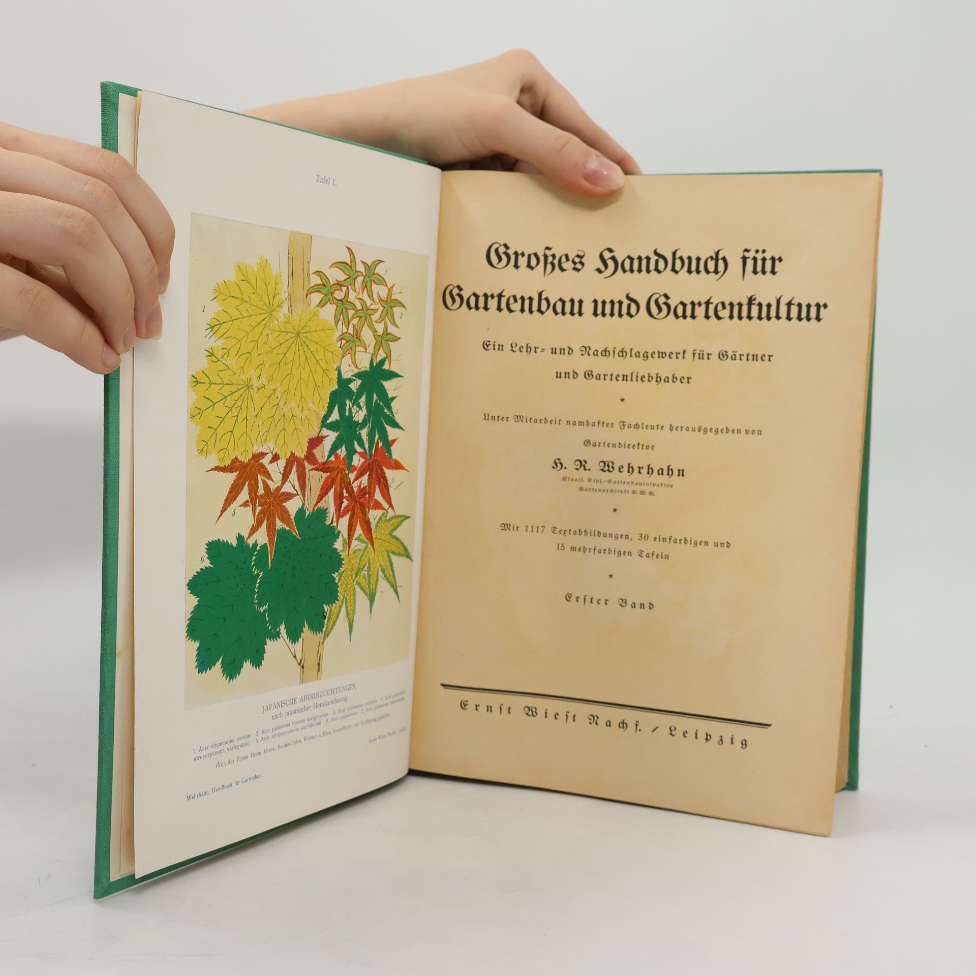 H. R. Wehrhahn Großes Handbuch für Gartenbau und Gartenkultur 1