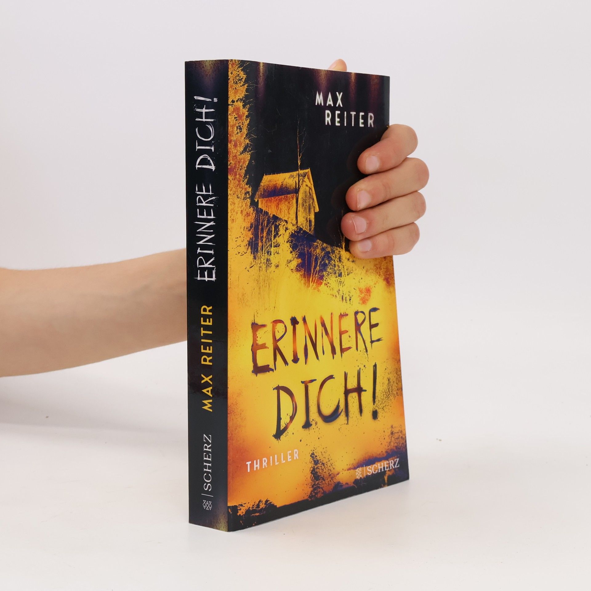 Max Reiter Erinnere dich!
