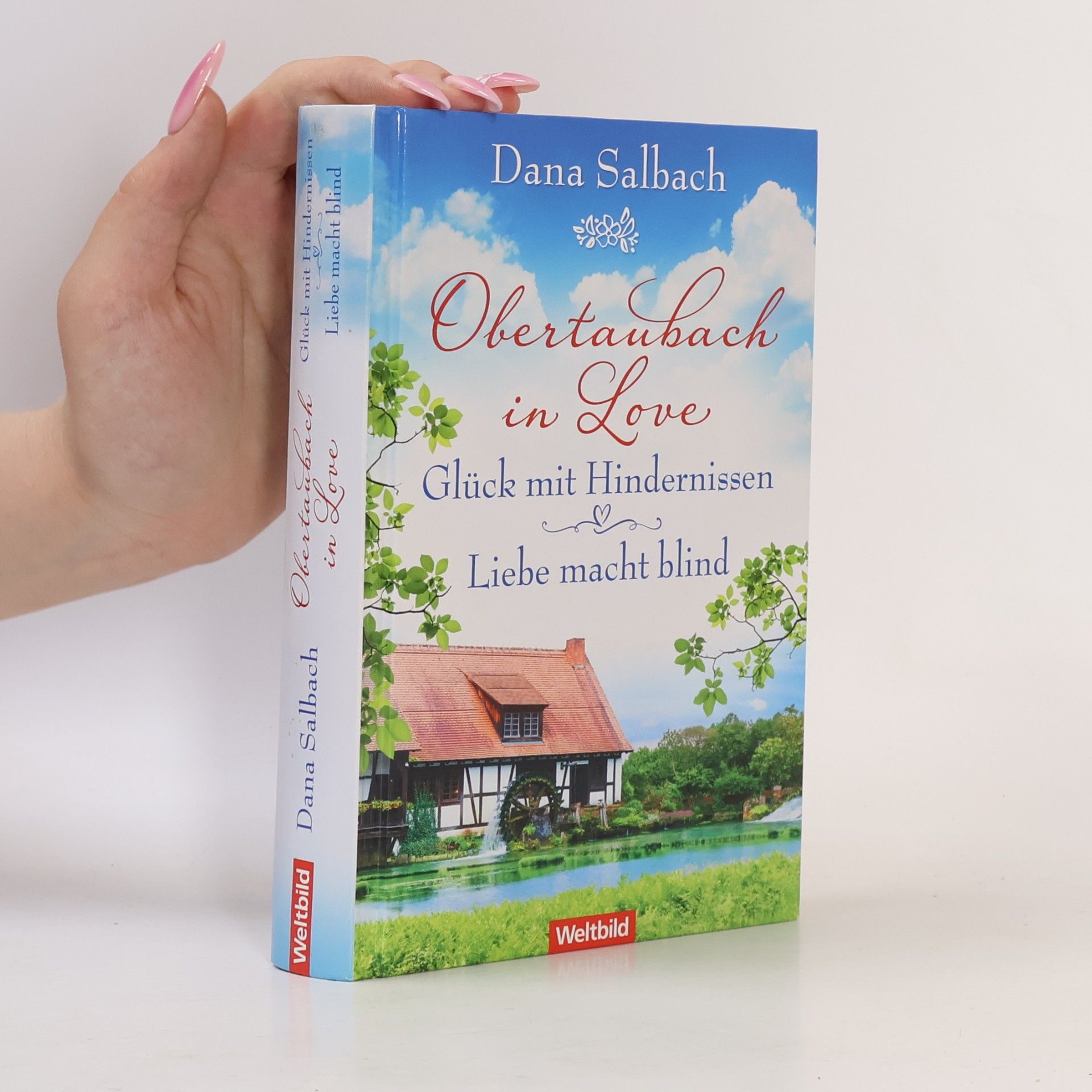 Dana Salbach Obertaubach in Love. Glück mit Hindernissen / Liebe macht blind