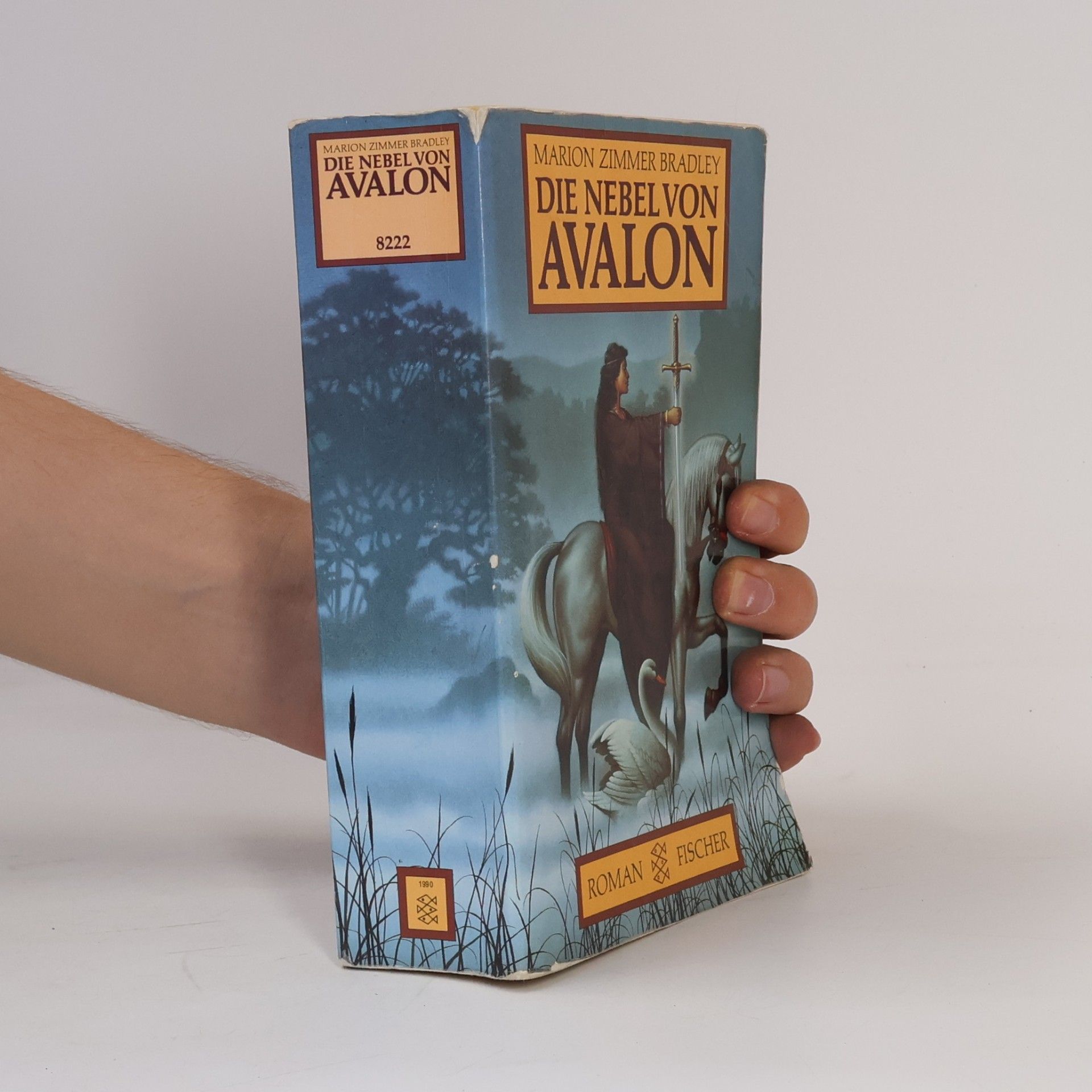 Die Nebel von Avalon