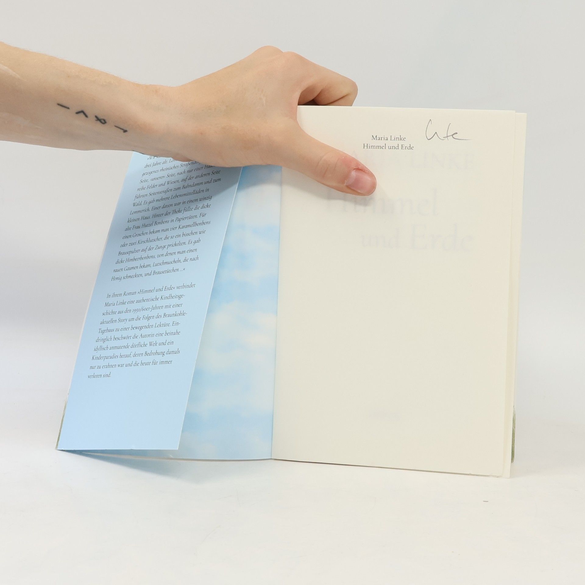 Maria Linke Himmel und Erde