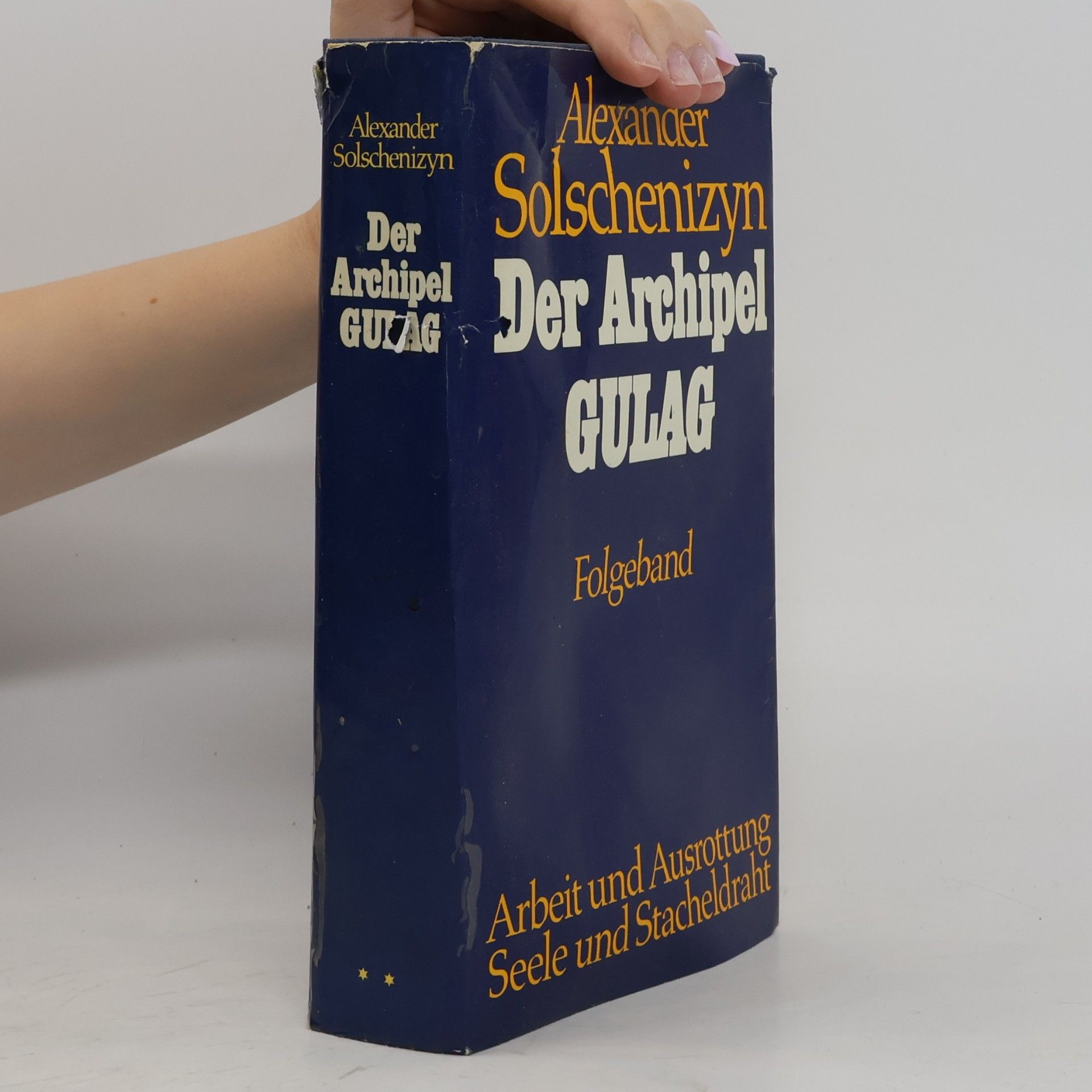 Aleksandr Solzhenitsyn Der Archipel Gulag
