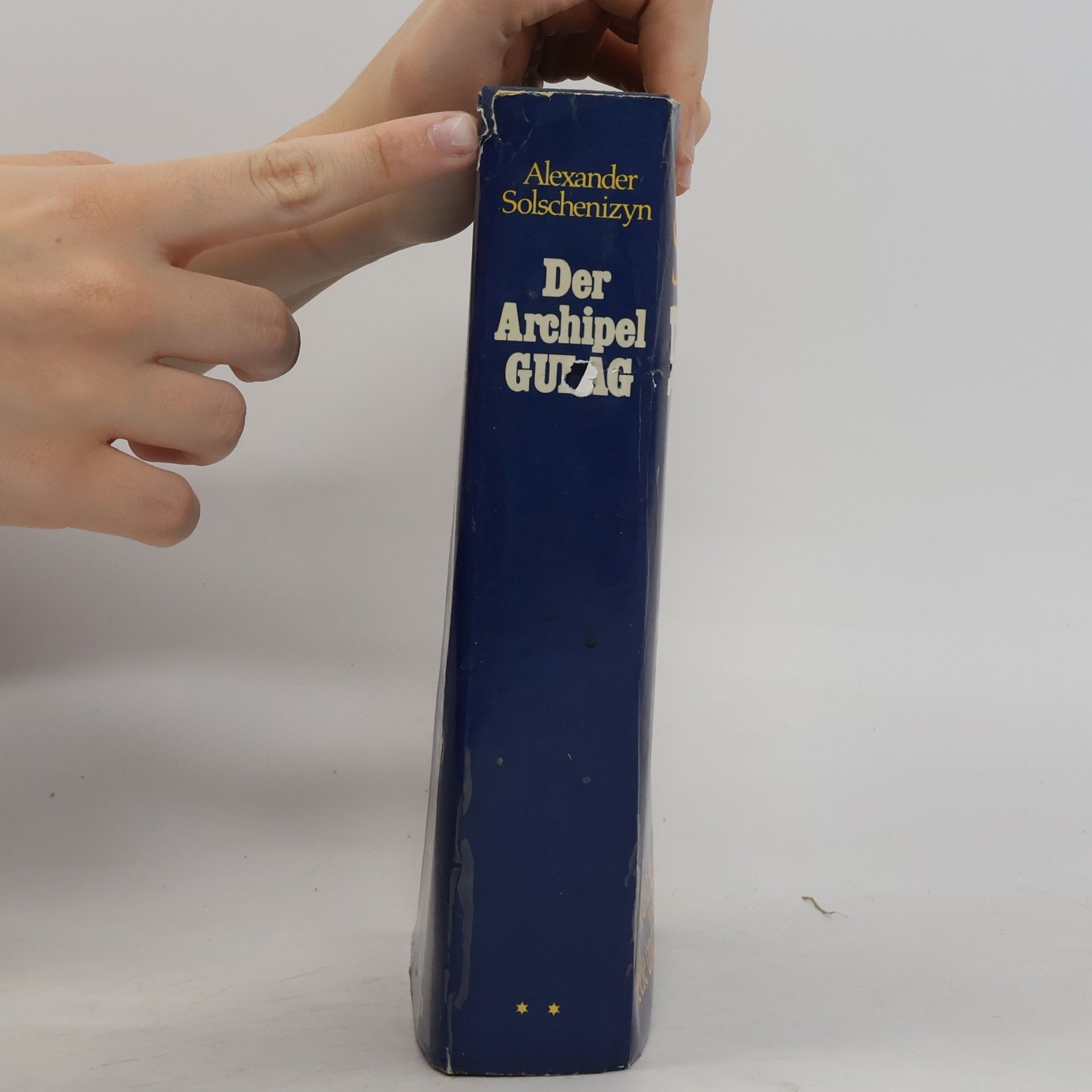 Aleksandr Solzhenitsyn Der Archipel Gulag