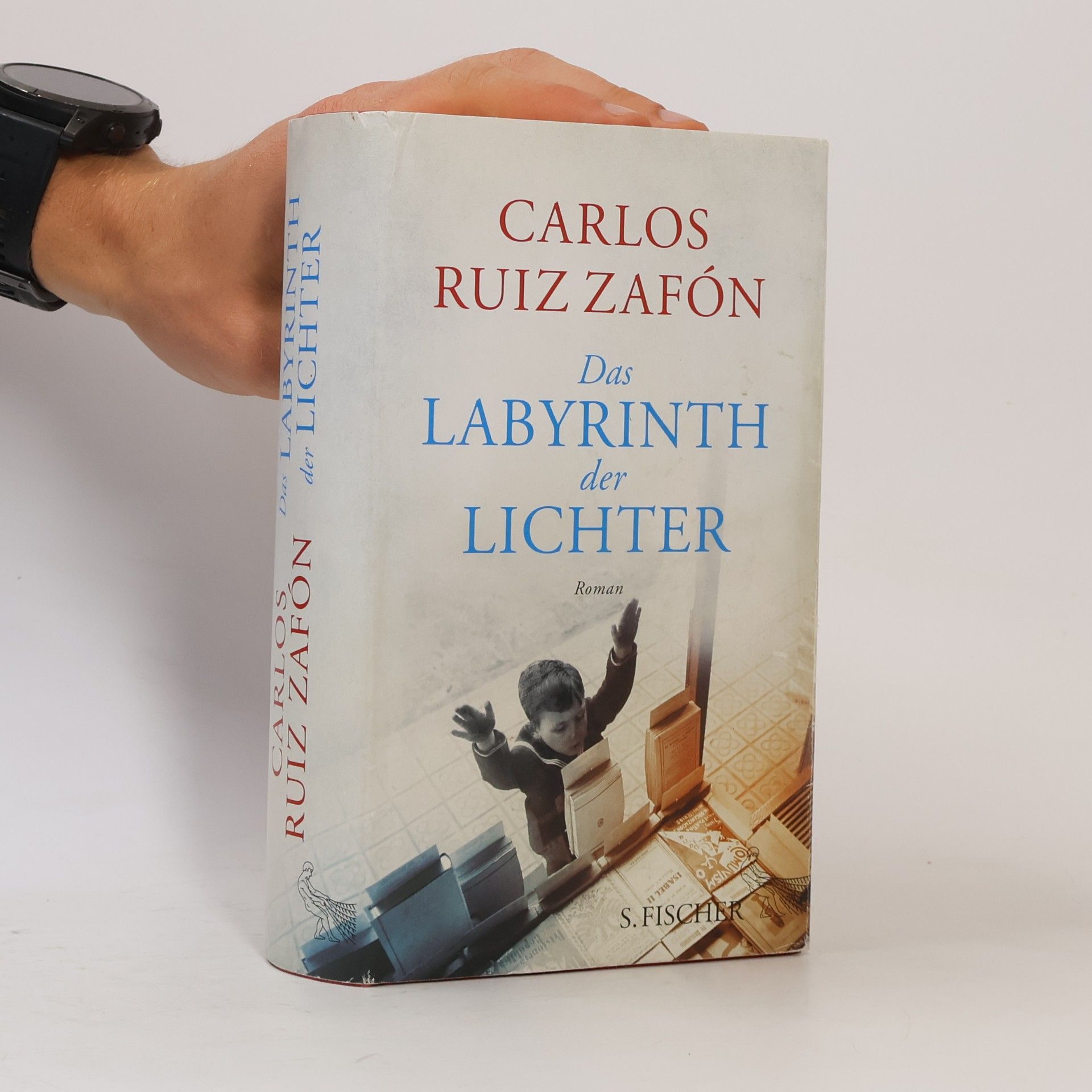Carlos Ruiz Zafón Das Labyrinth der Lichter
