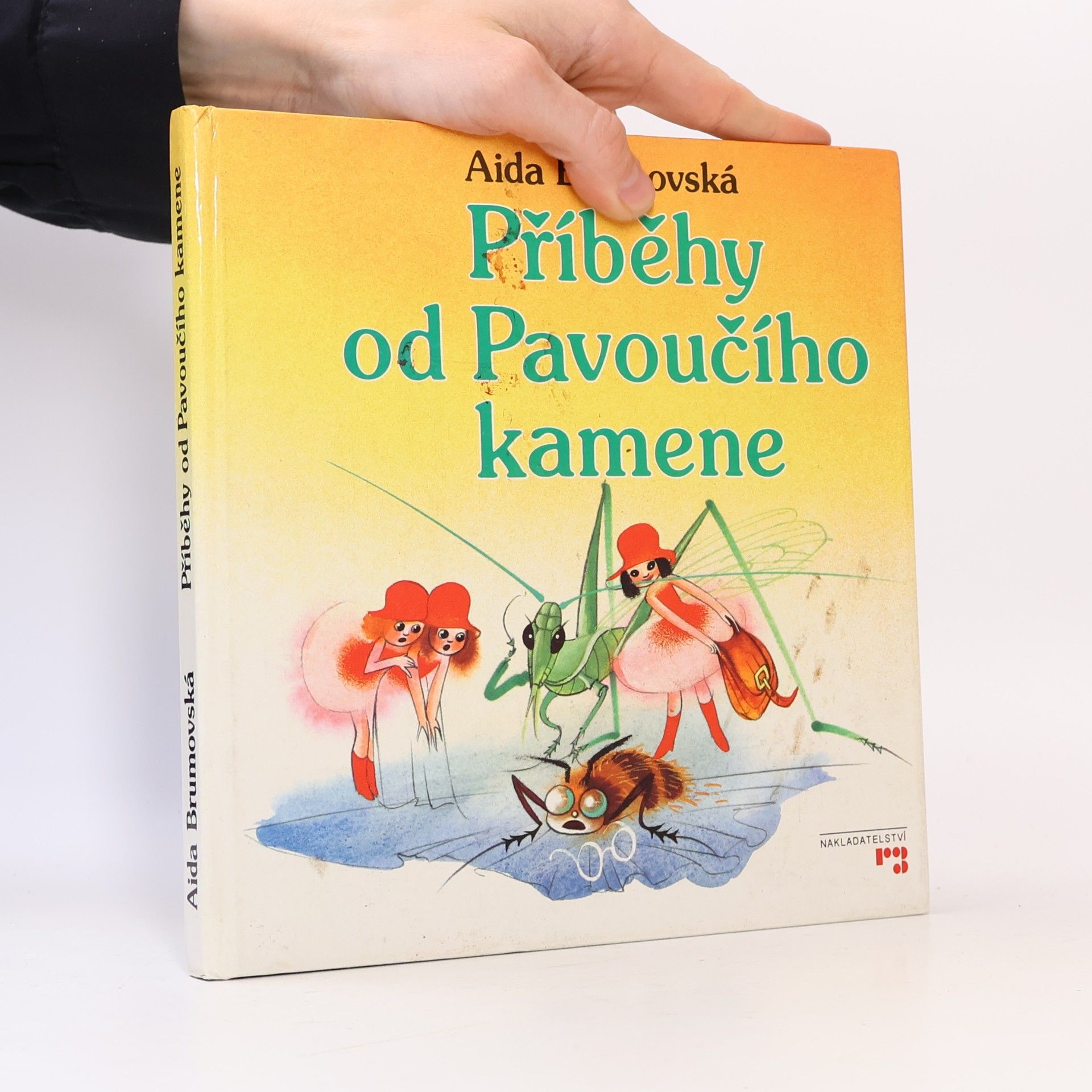 Aida Brumovská Příběhy od Pavoučího kamene