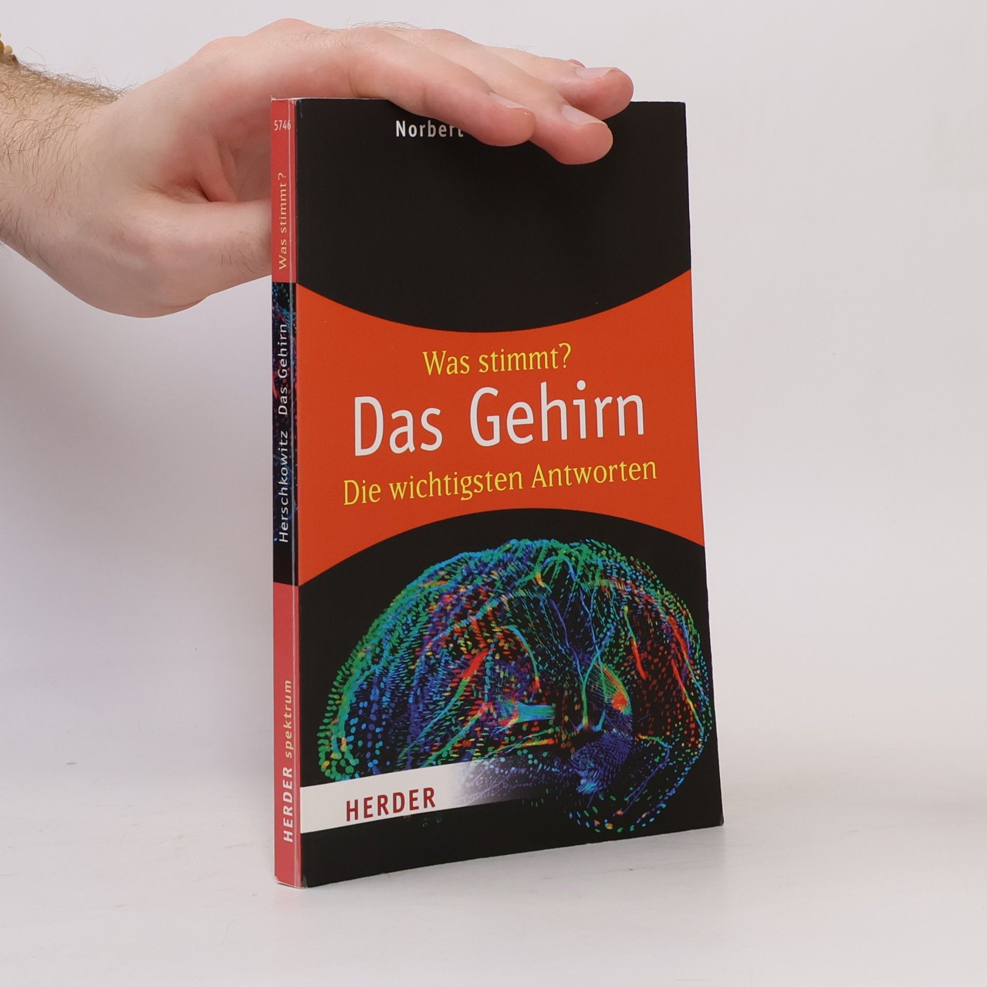Was stimmt? Das Gehirn