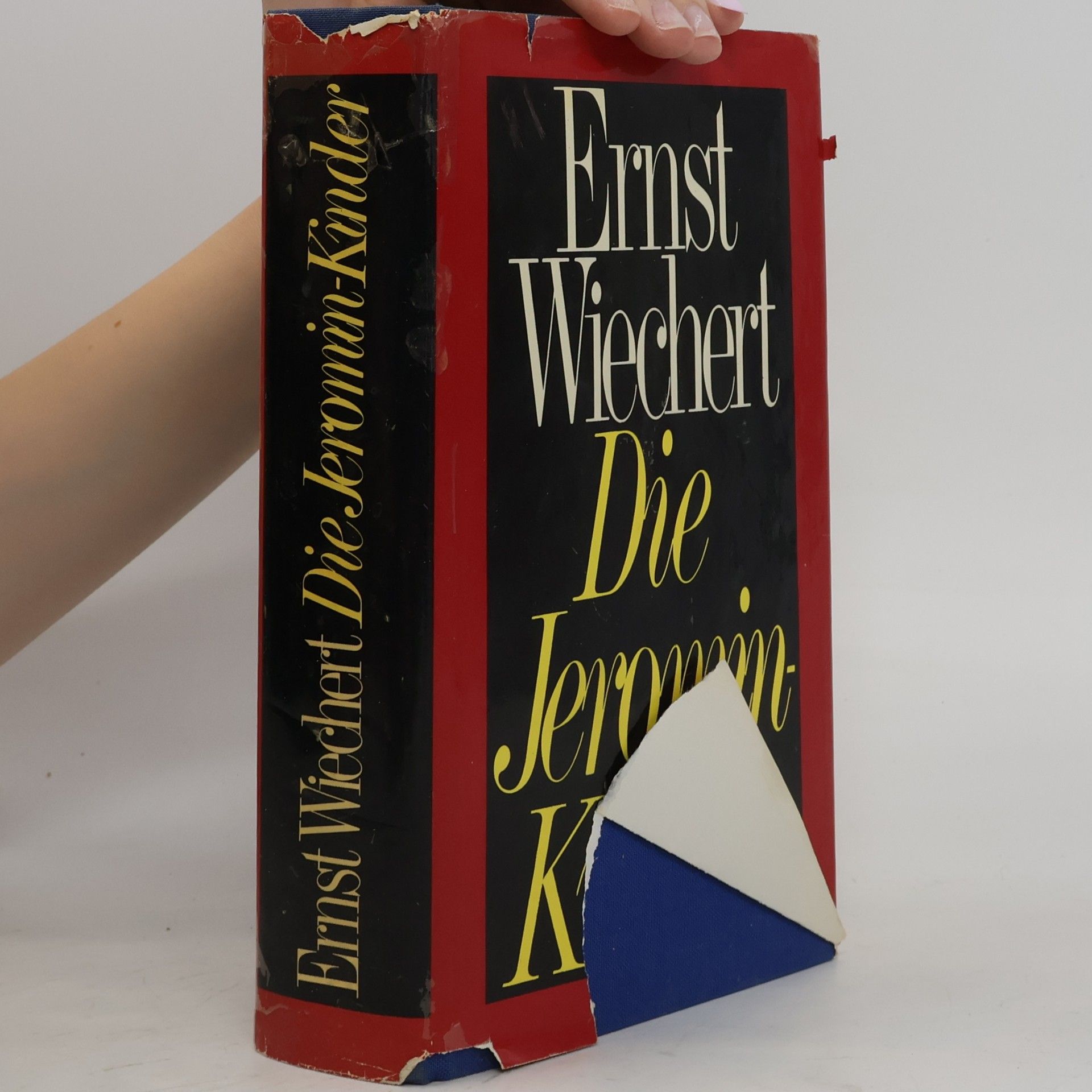 Ernst Wiechert Die Jeromin Kinder