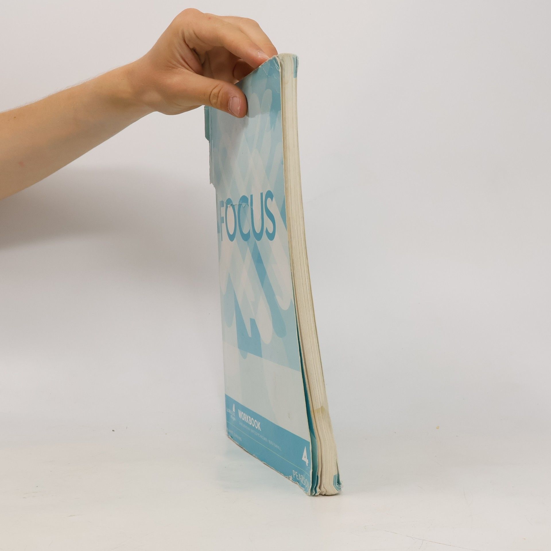 Daniel Brayshaw Focus. 4, Workbook