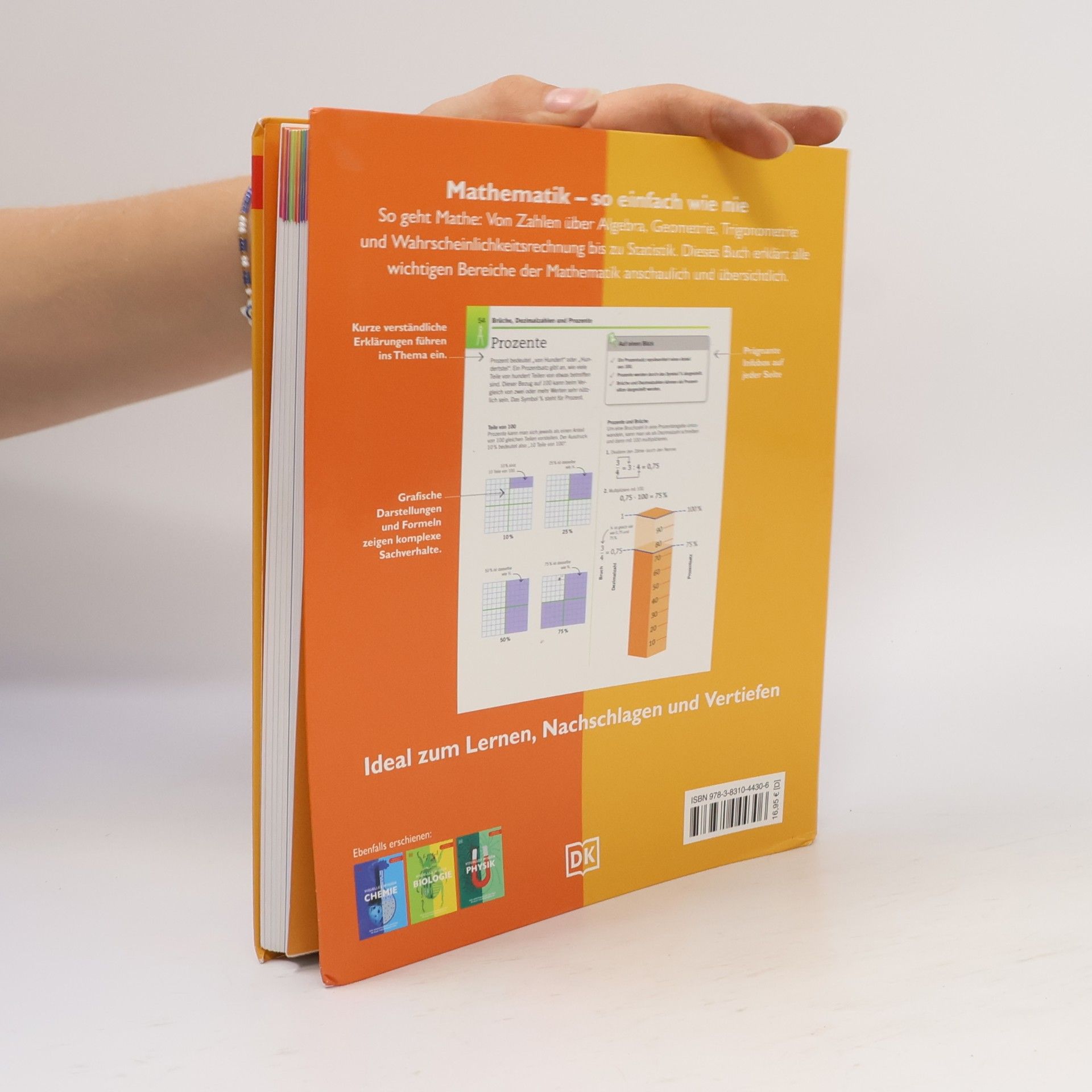 Kolektiv autorů Visuelles Wissen Mathematik