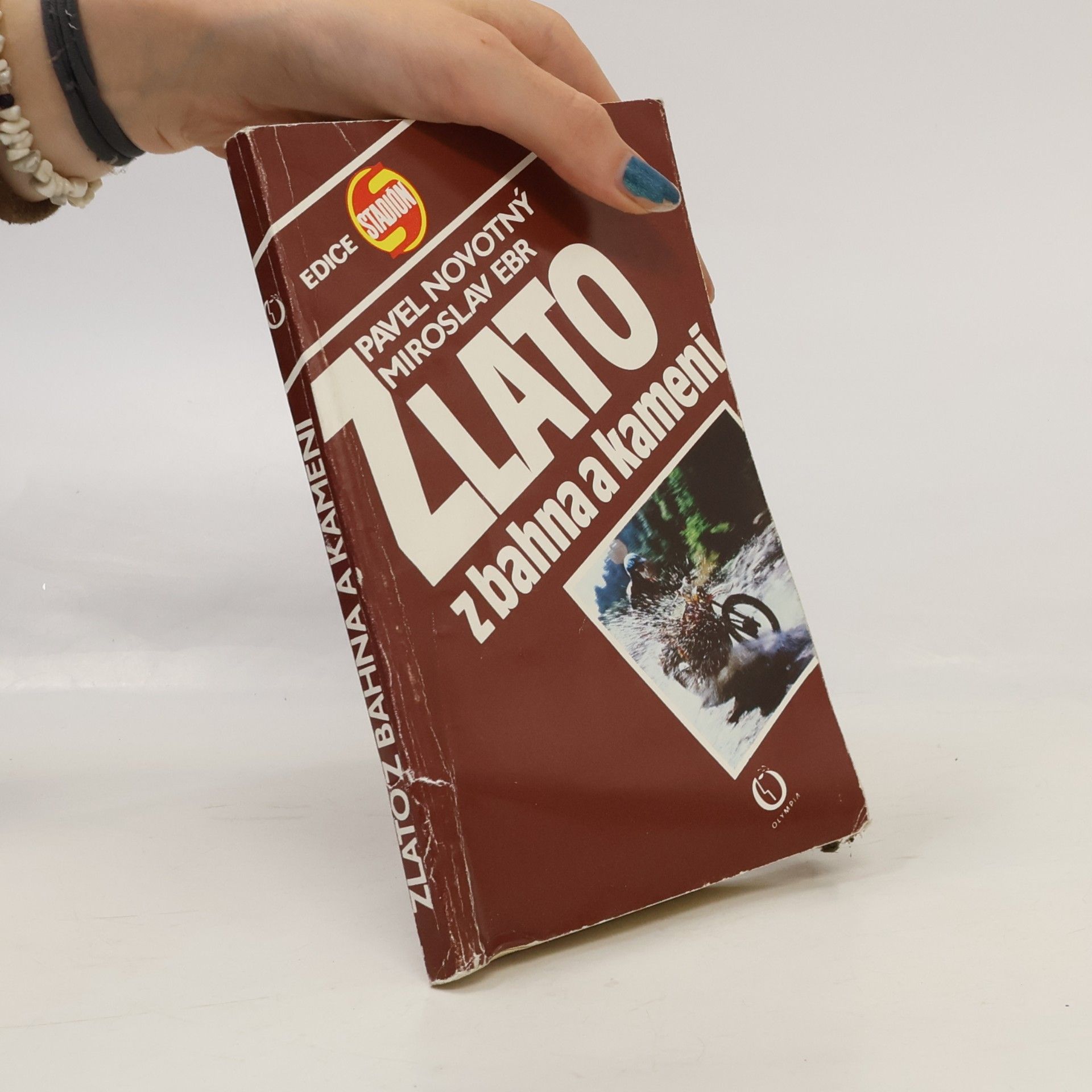 Miroslav Ebr Zlato z bahna a kamení
