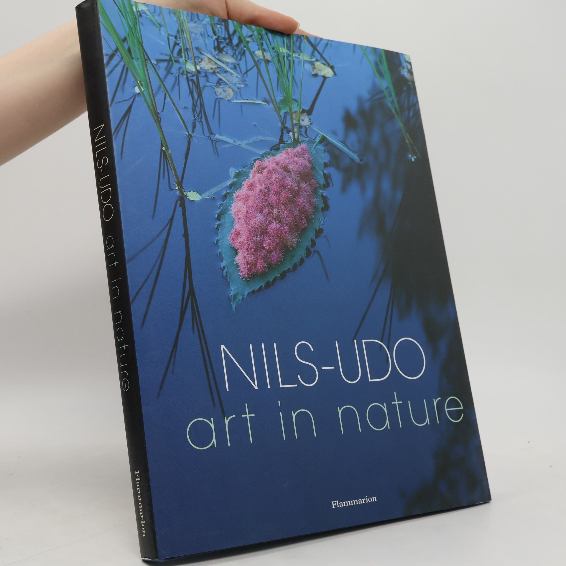 Hubert Besacier Nils Udo