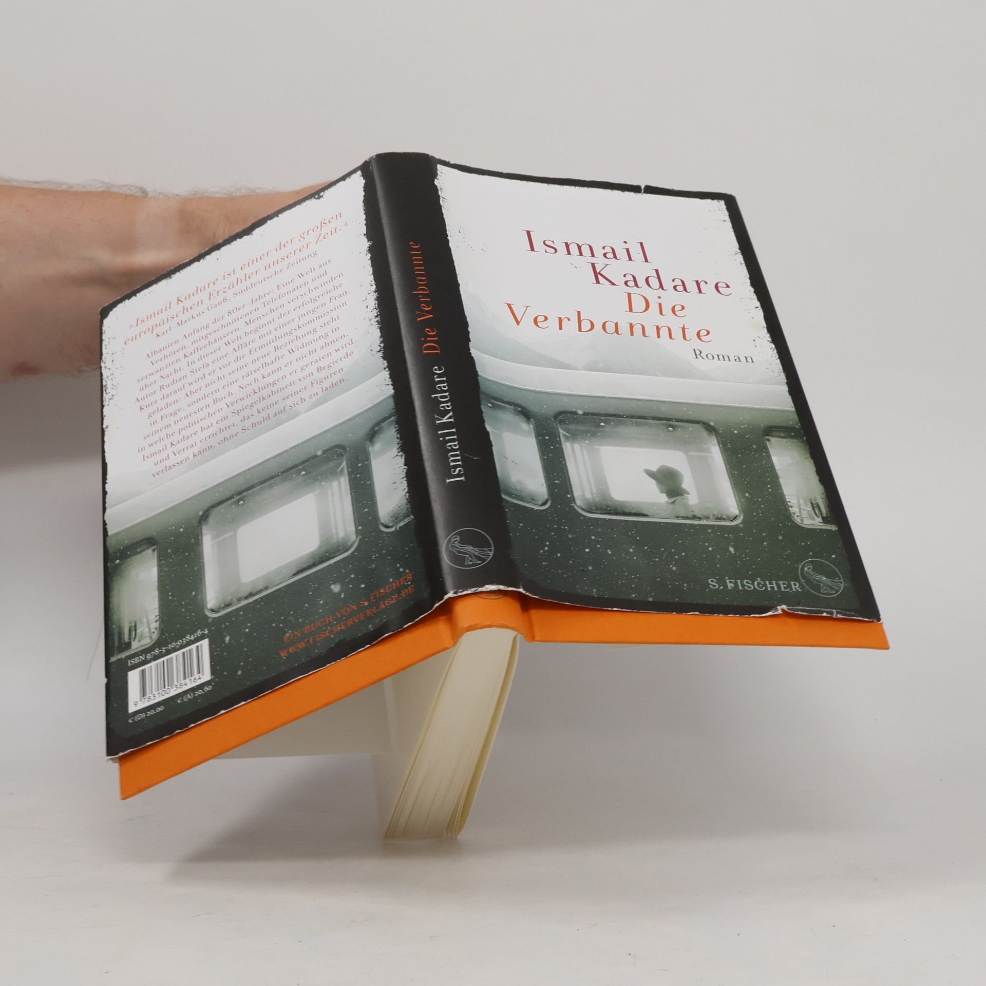 Ismail Kadare Die Verbannte