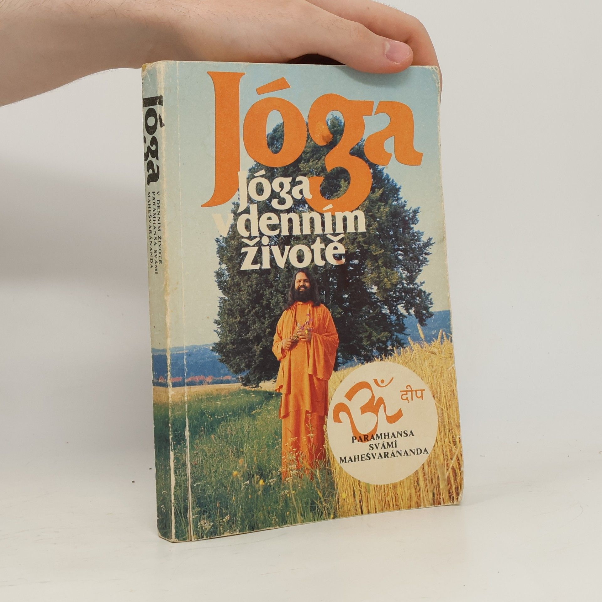 Paramhans Swami Maheshwarananda Jóga v denním životě