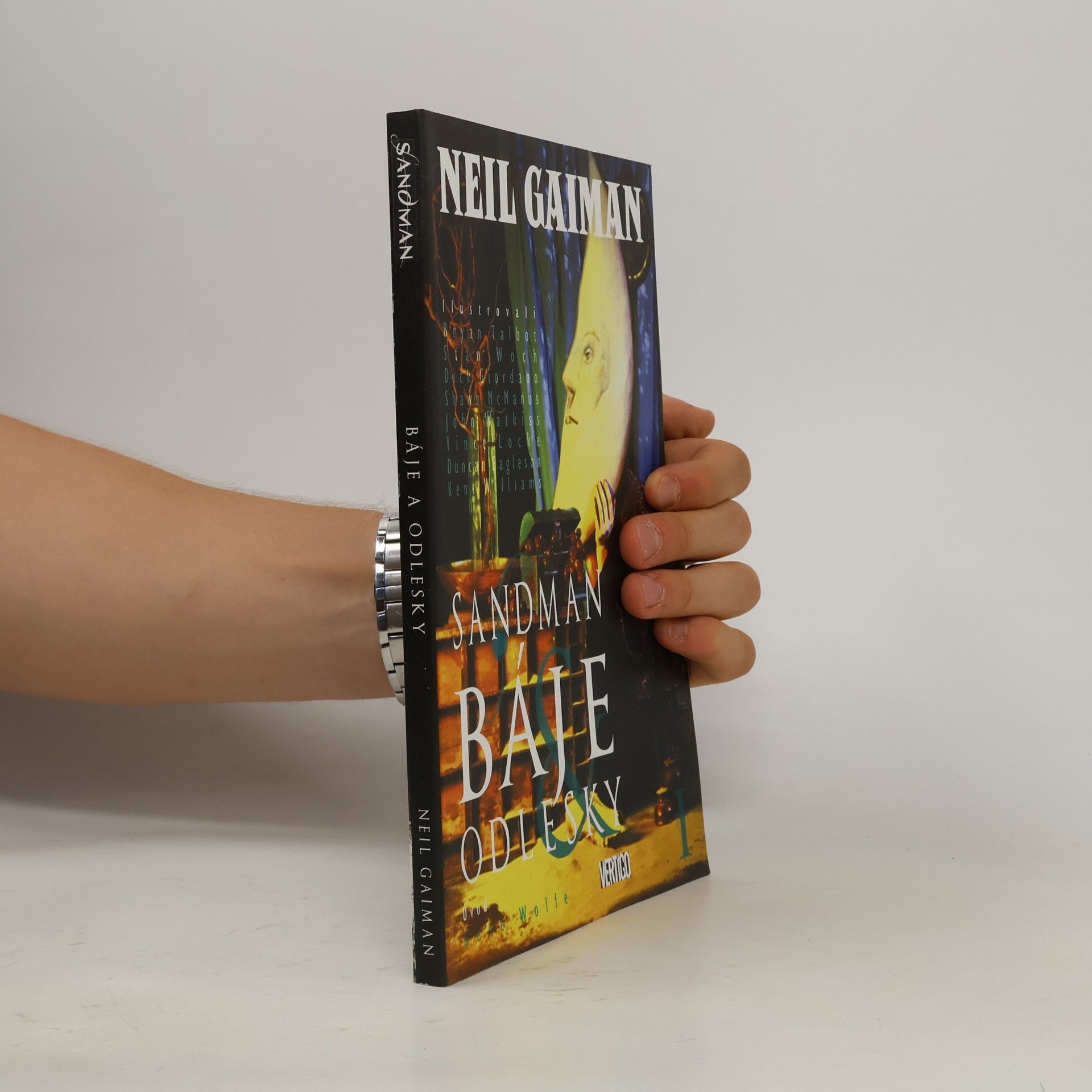 Neil Gaiman Báje & odlesky I