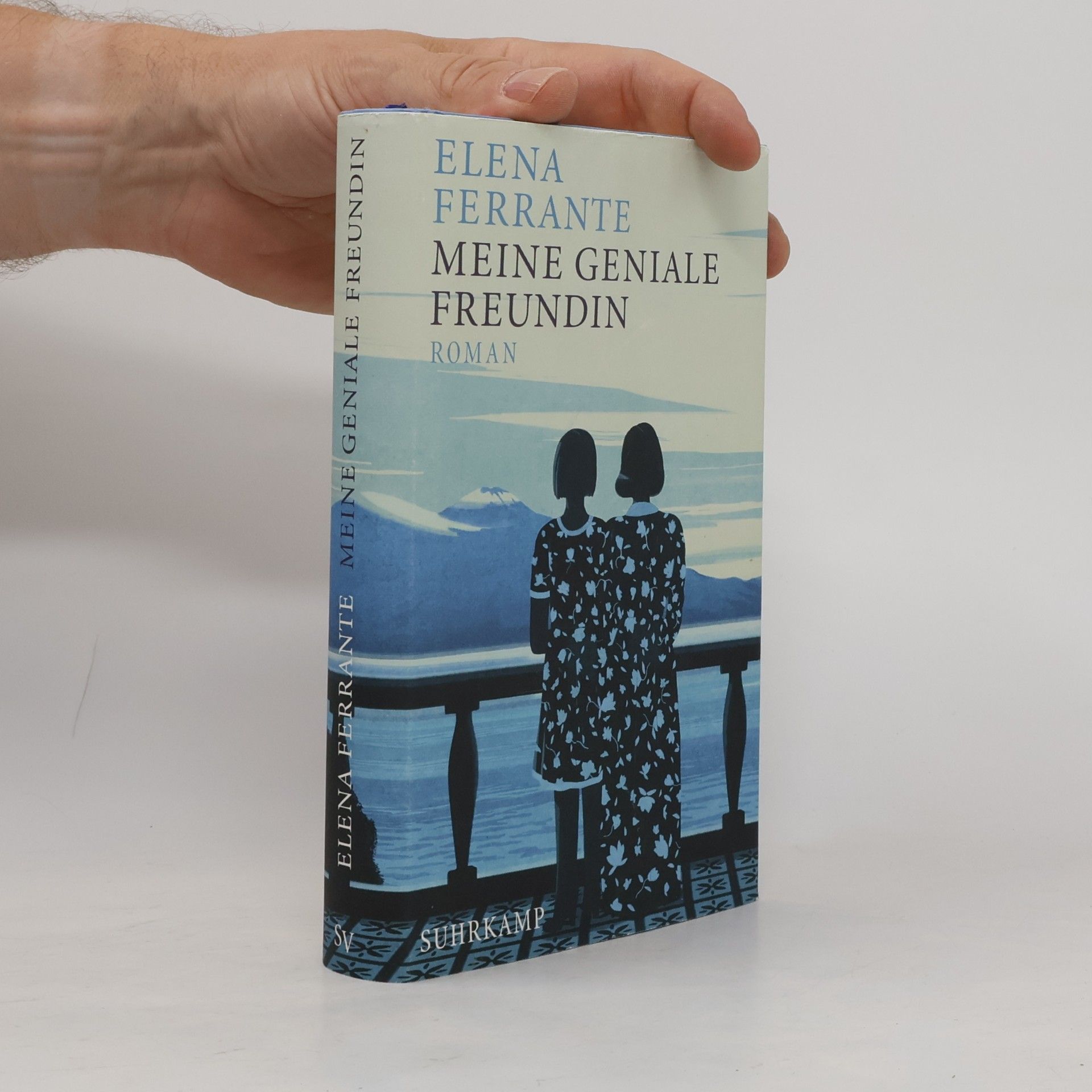 Elena Ferrante Meine geniale Freundin