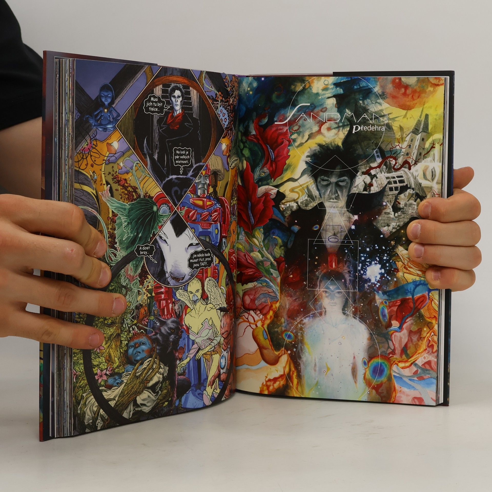 Neil Gaiman Sandman. Předehra