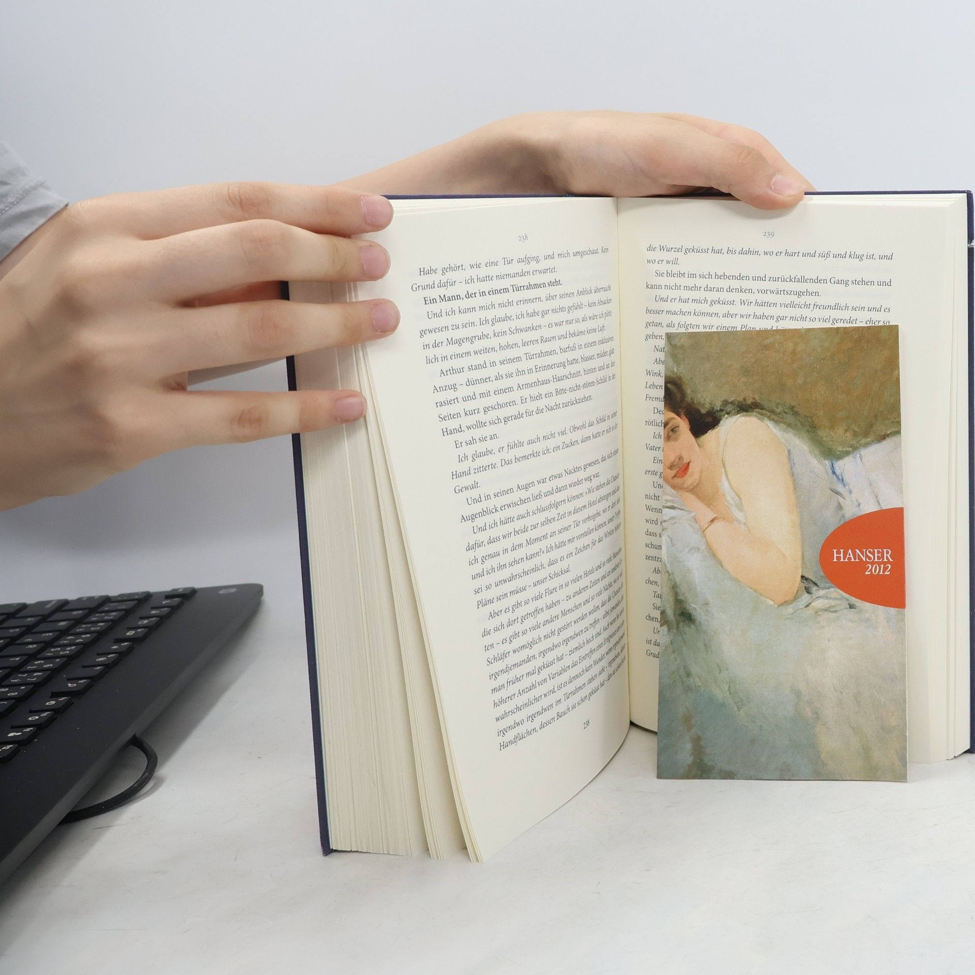 Ingo Herzke Das Blaue Buch