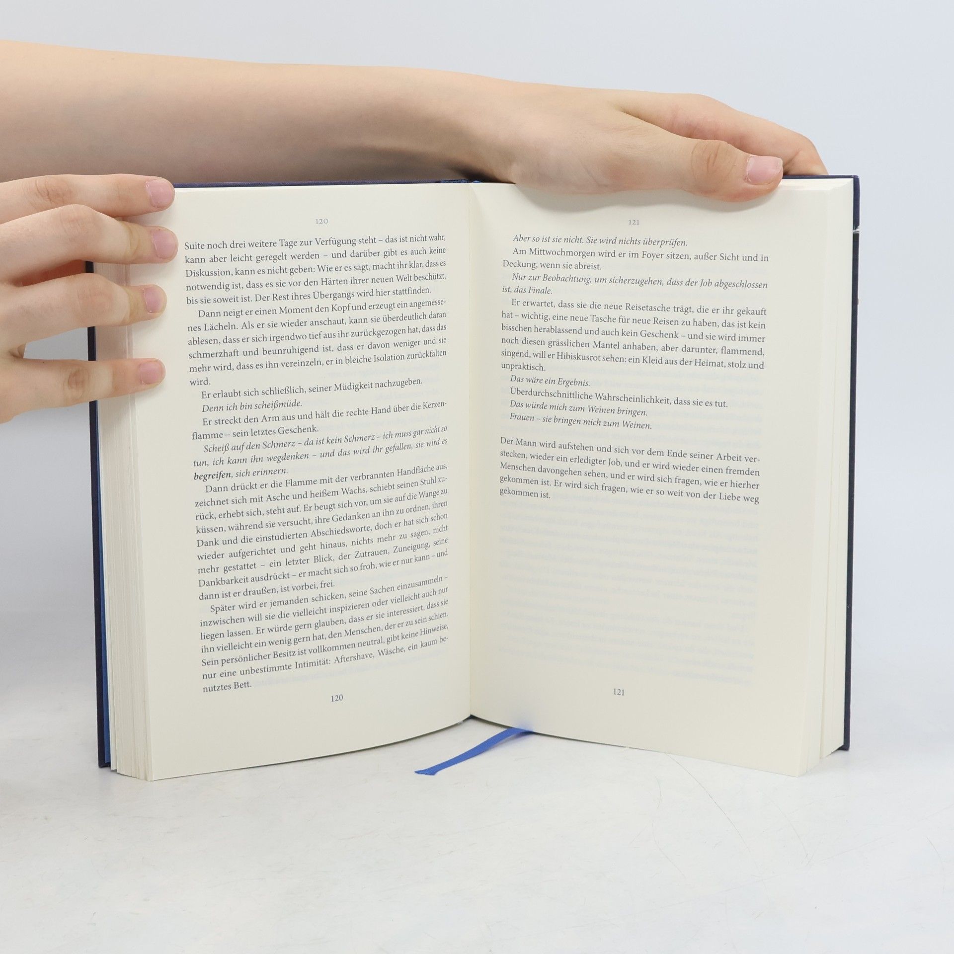 Ingo Herzke Das Blaue Buch