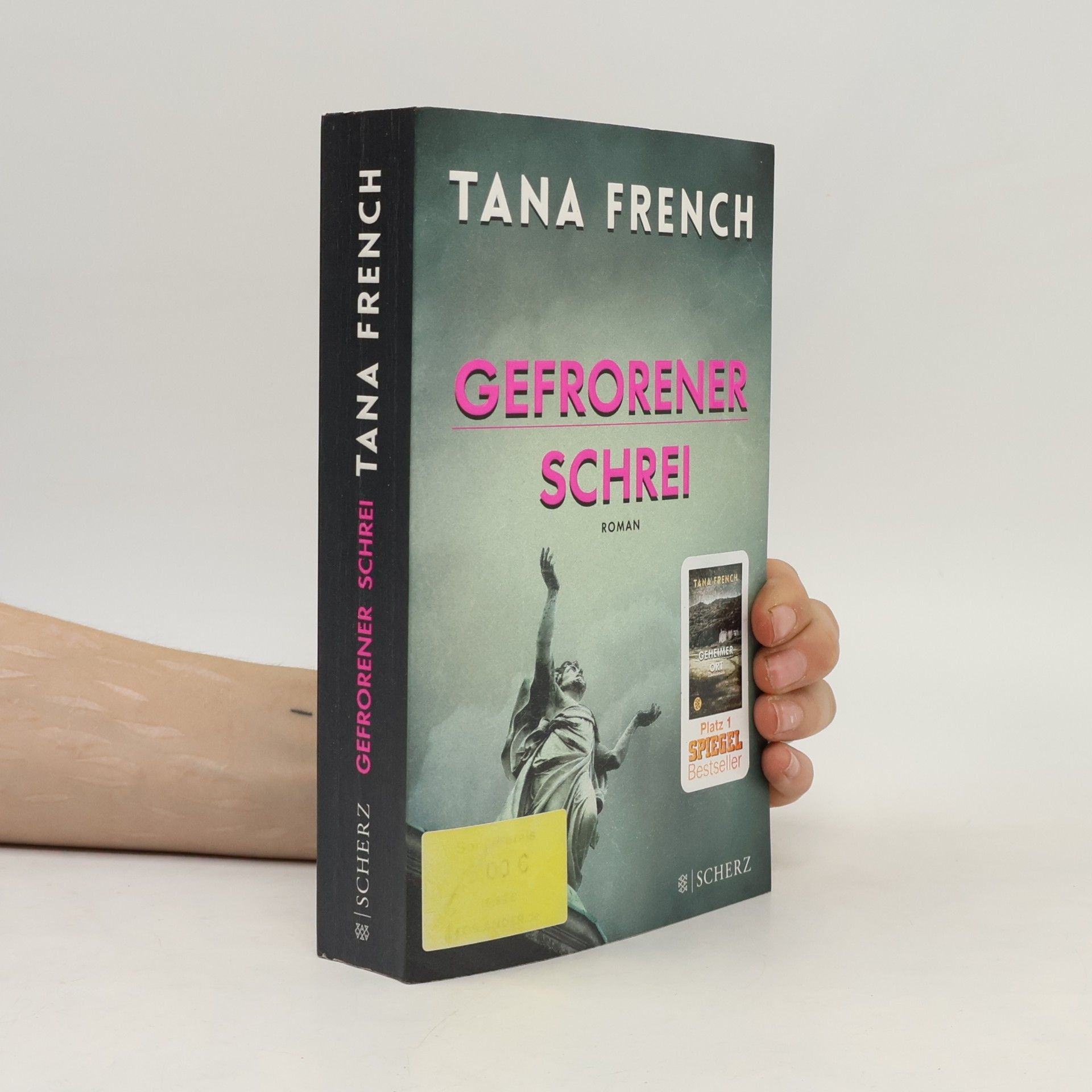 Tana French Gefrorener Schrei