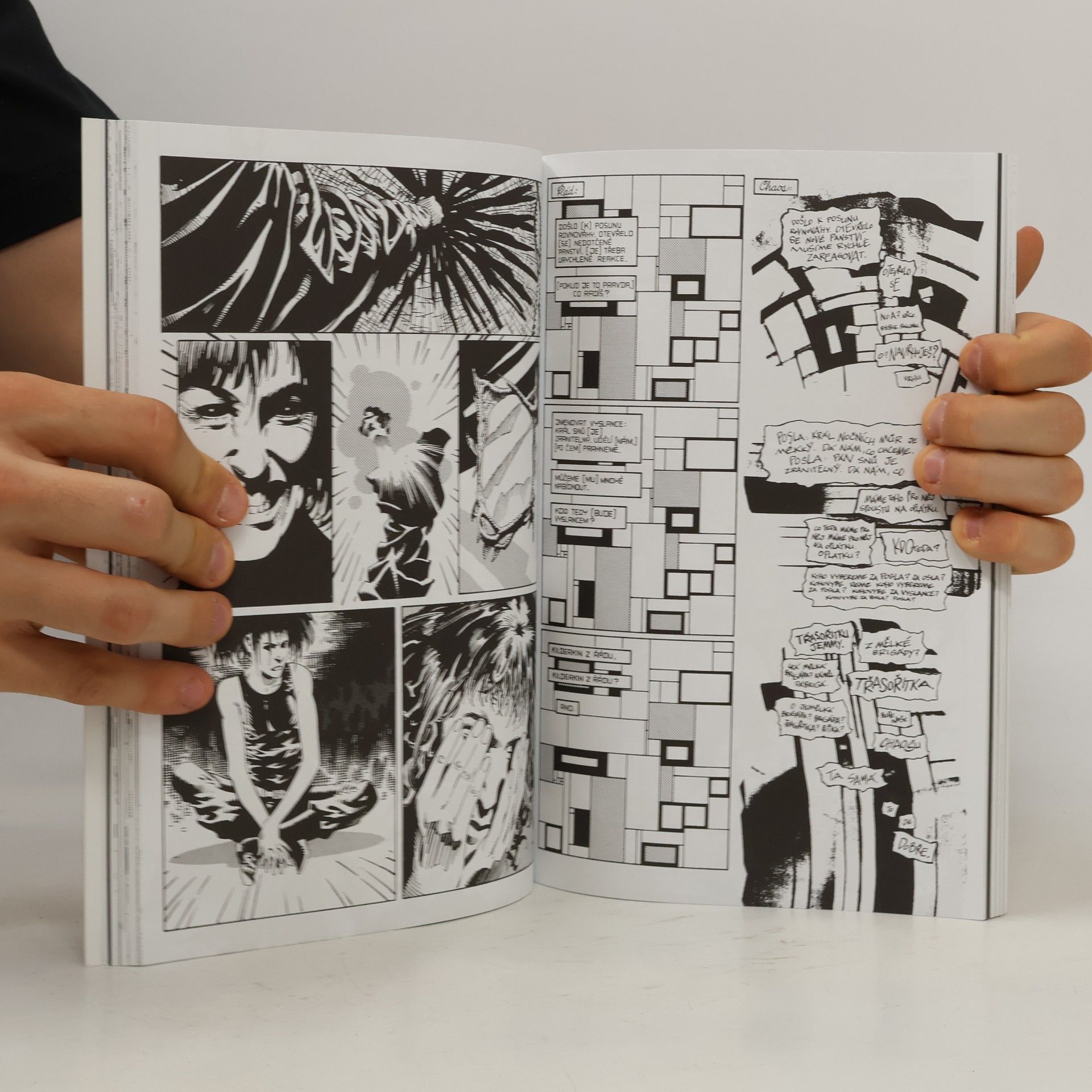 Neil Gaiman Sandman. Údobí mlh