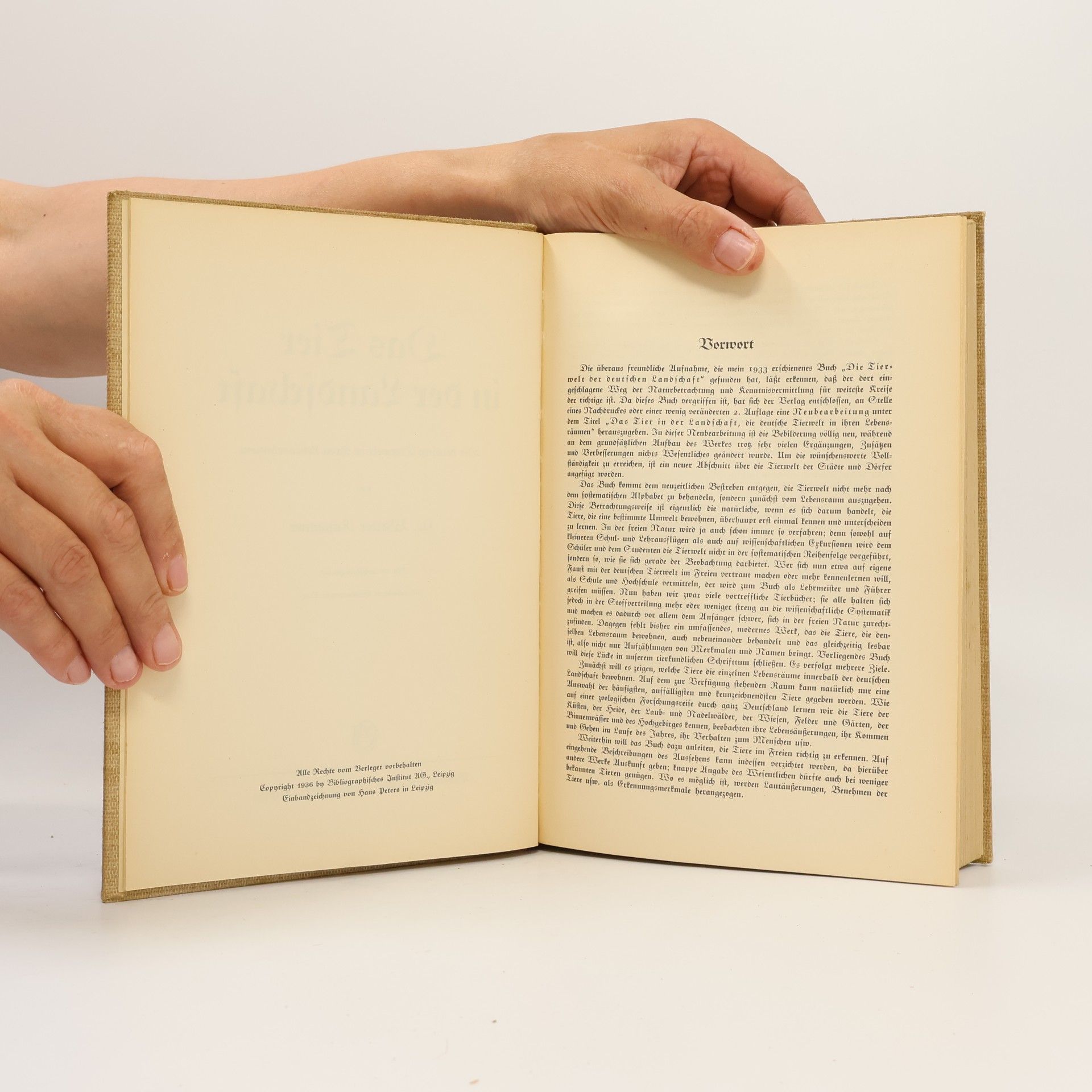 Walter Rammer Die Tierwelt der deutschen Landschaft