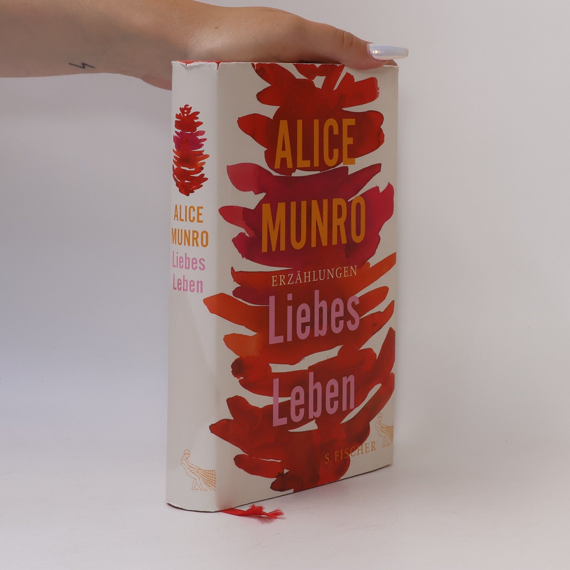 Alice Munro Liebes Leben
