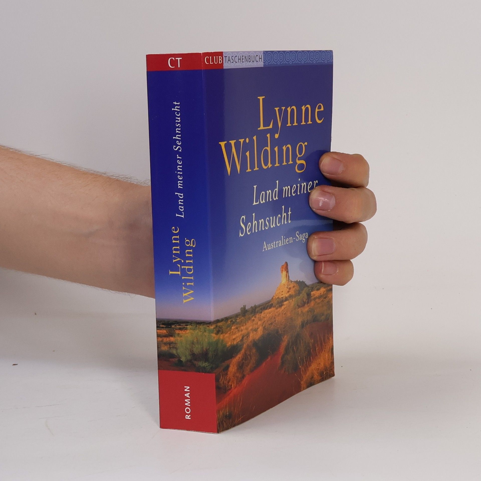 Lynne Wilding Land meiner Sehnsucht