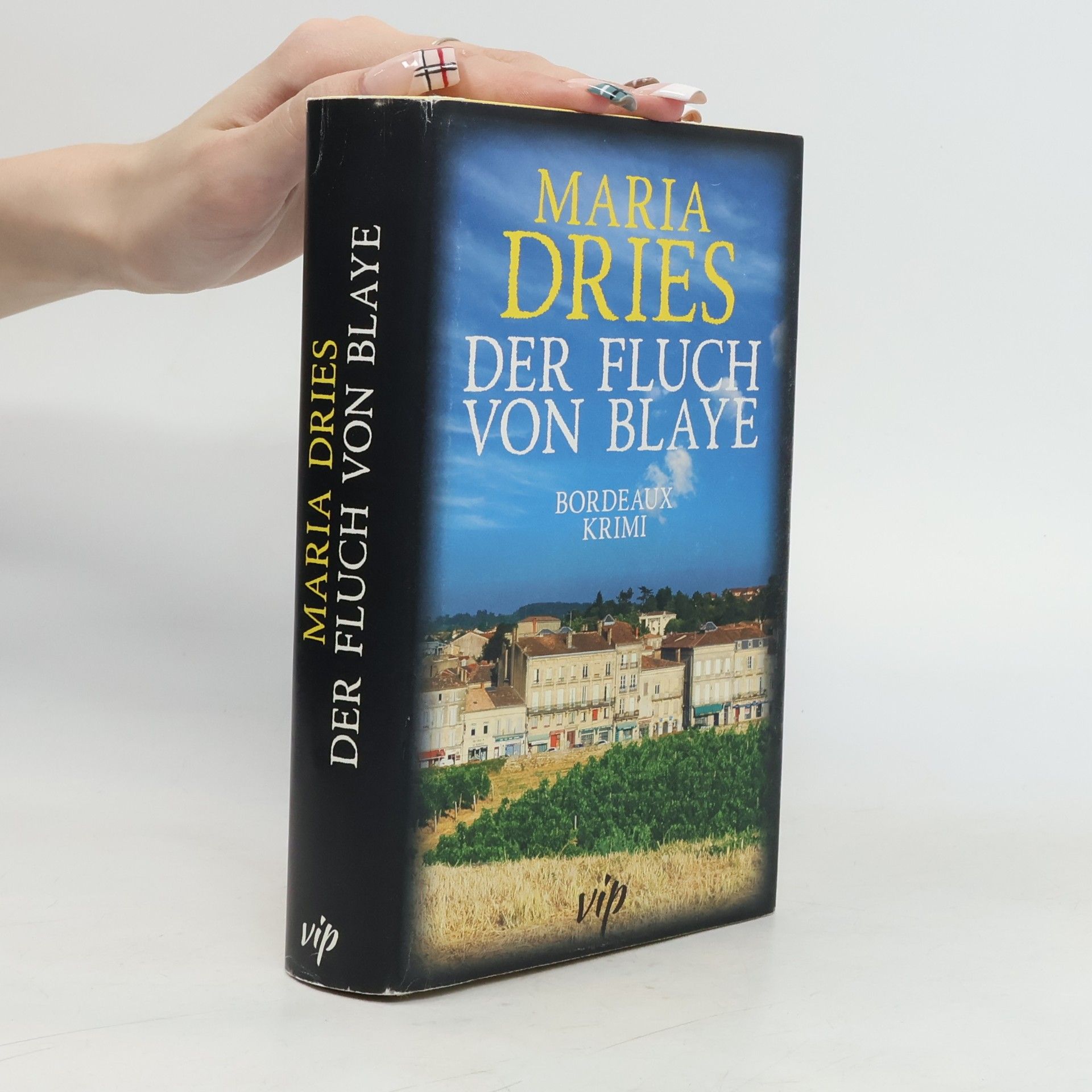 Maria Dries Der Fluch von Blaye