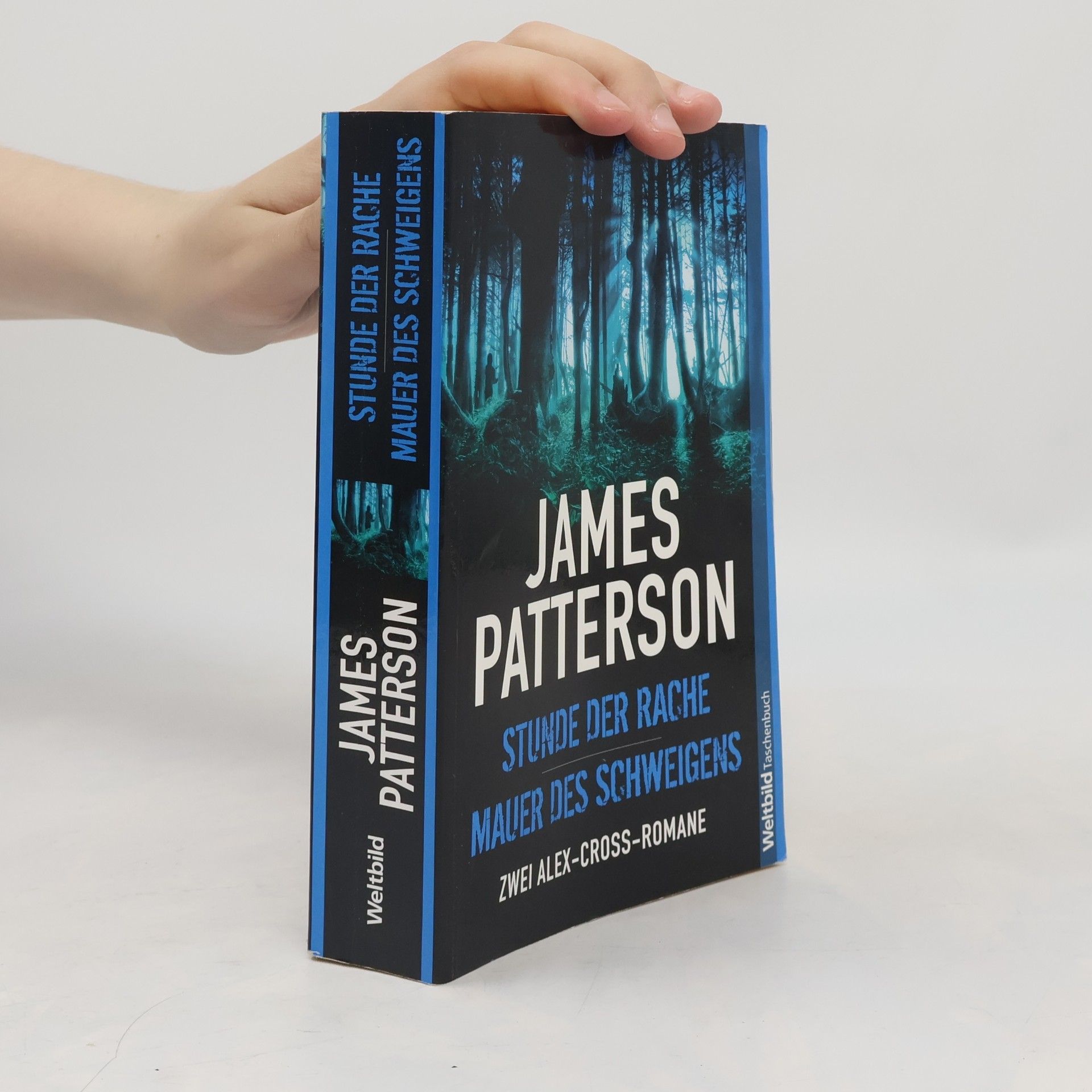 James Patterson Stunde der Rache