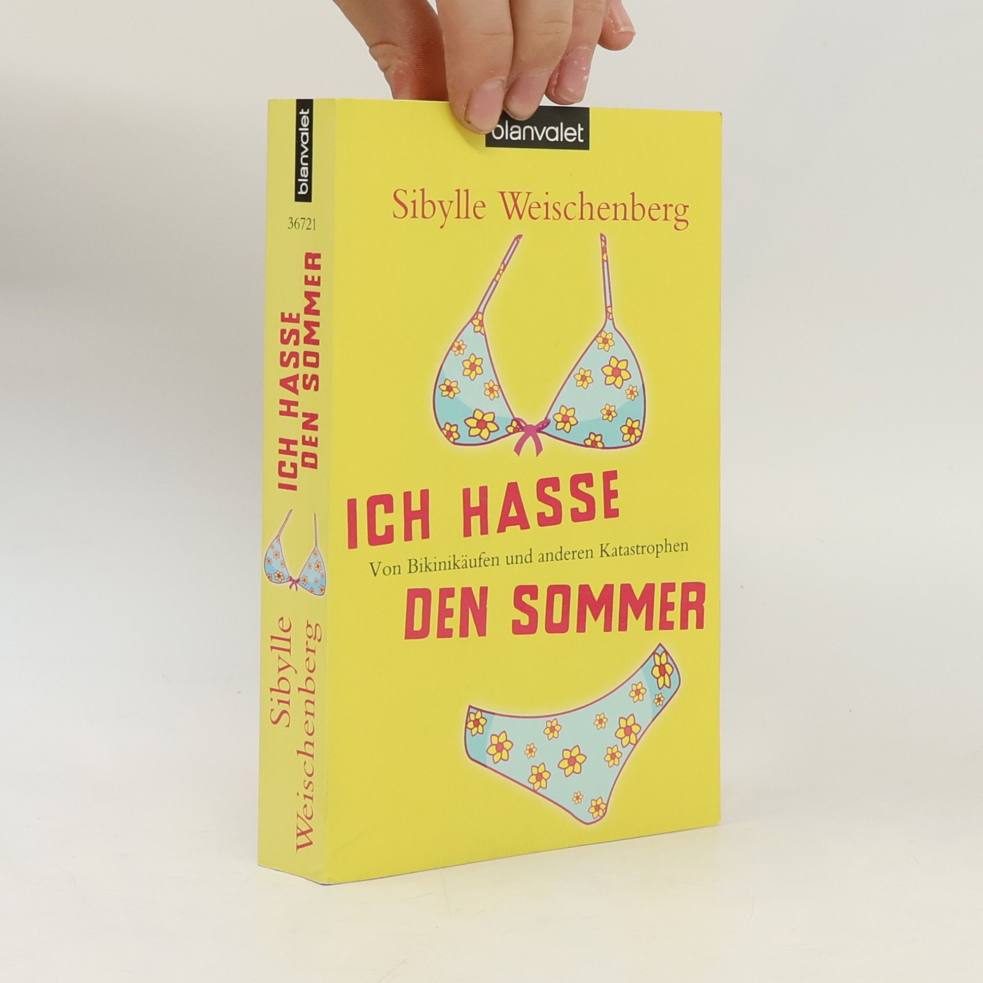 Sibylle Weischenberg Ich hasse den Sommer