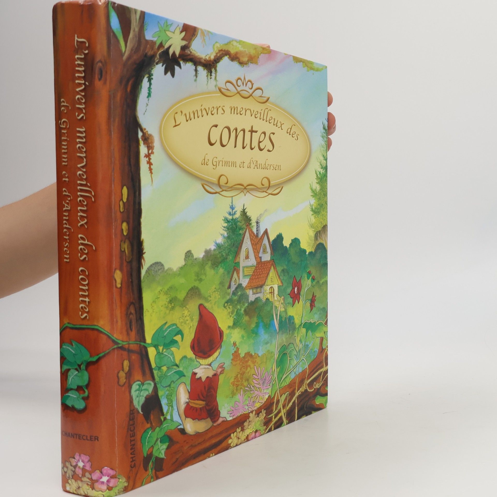 Jakob Grimm L'univers merveilleux des contes de Grimm et d'Andersen