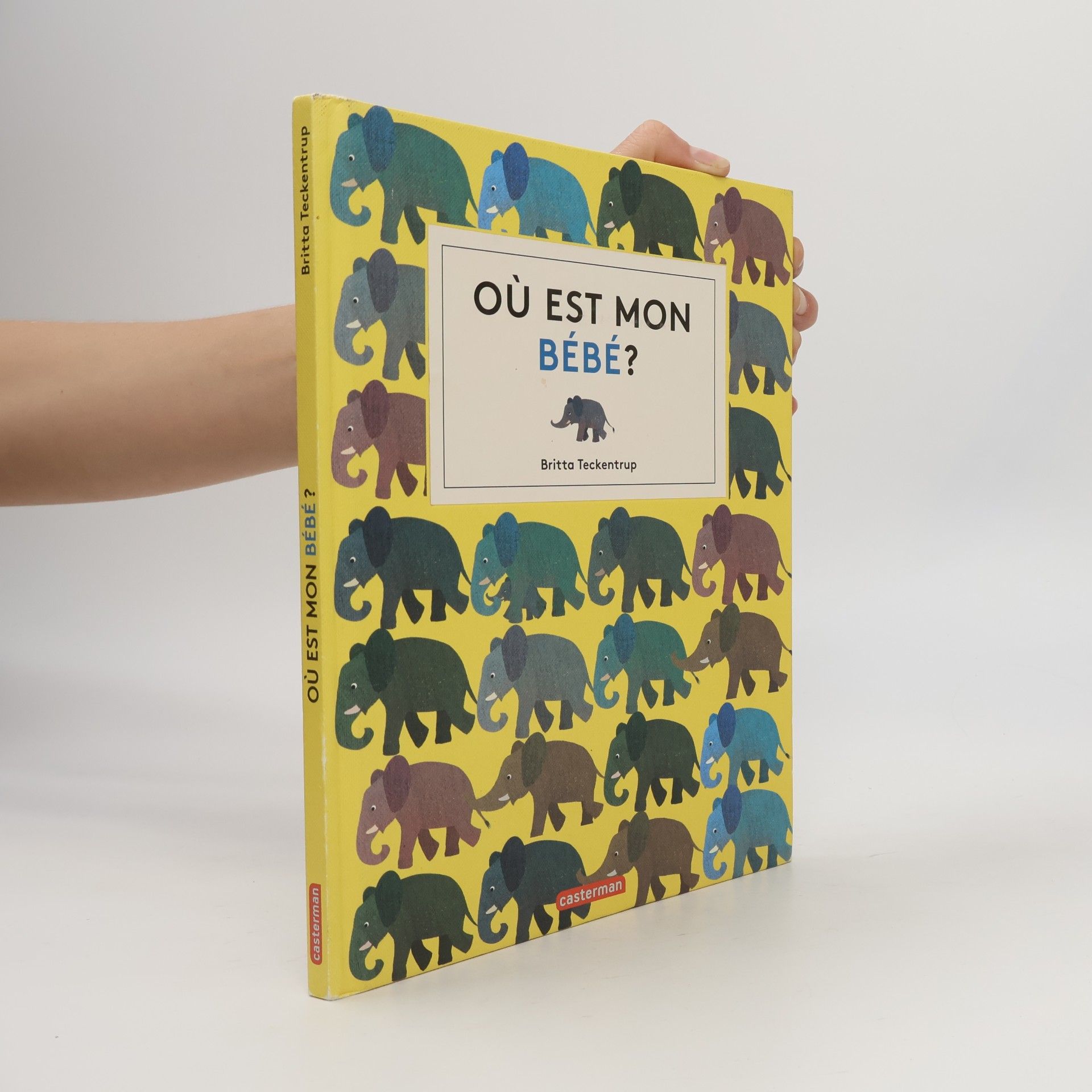 Britta Teckentrup Cherche et trouve - Où est mon bébé ?