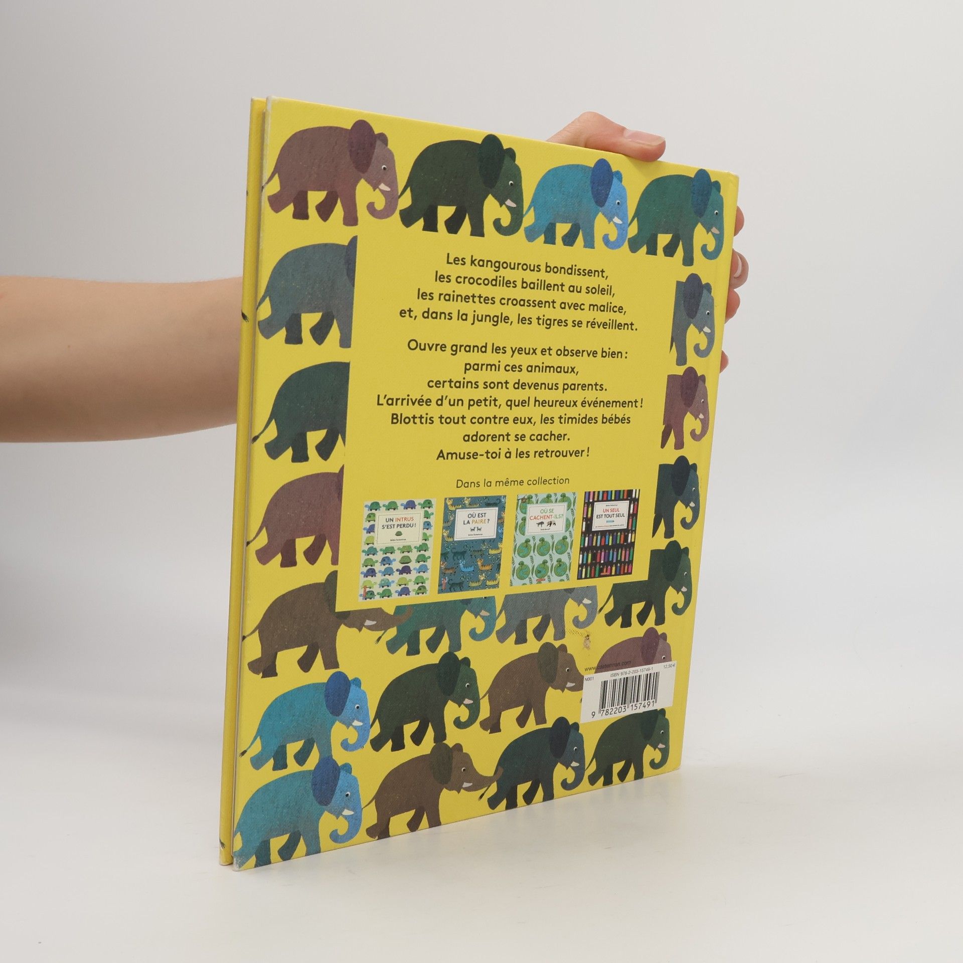 Britta Teckentrup Cherche et trouve - Où est mon bébé ?