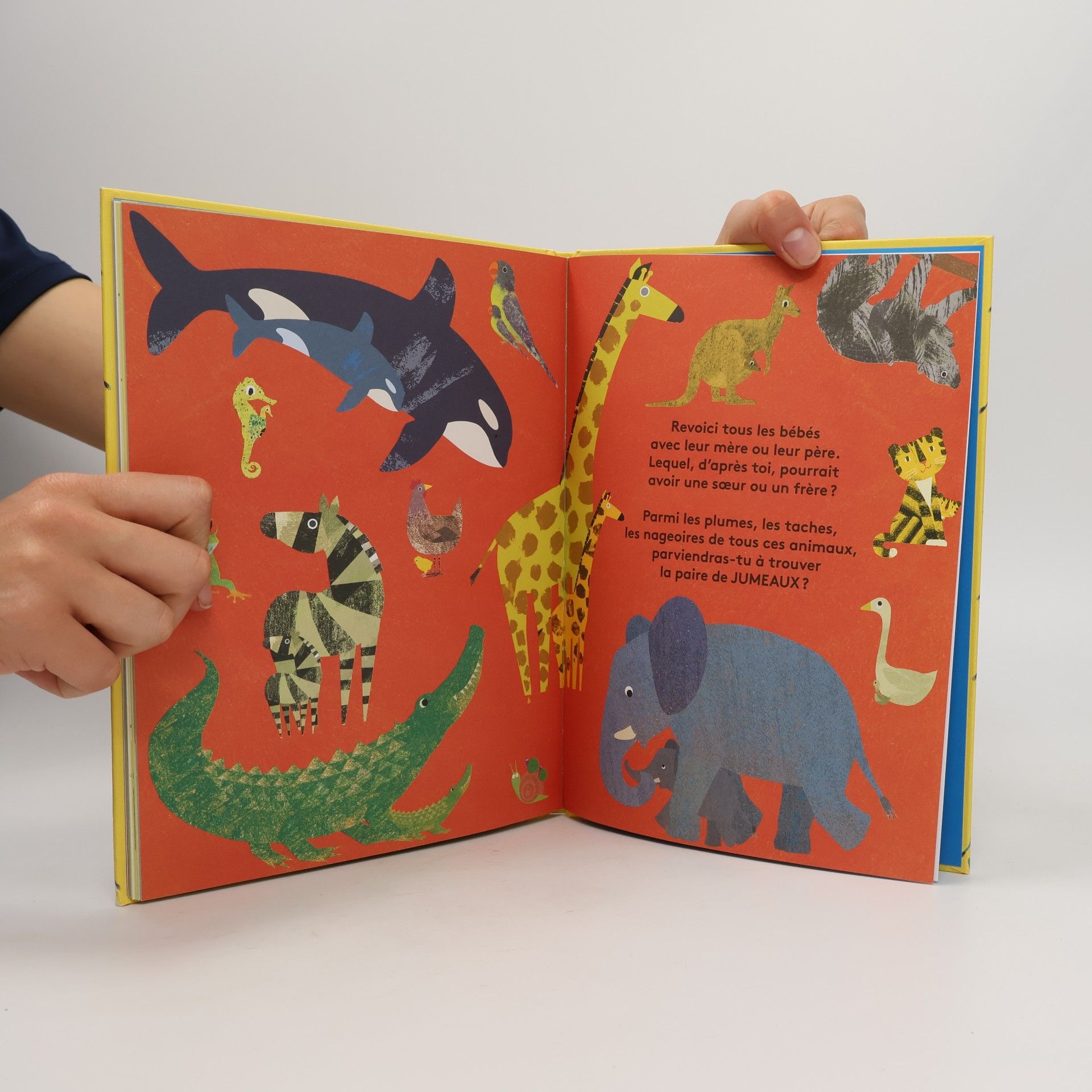 Britta Teckentrup Cherche et trouve - Où est mon bébé ?