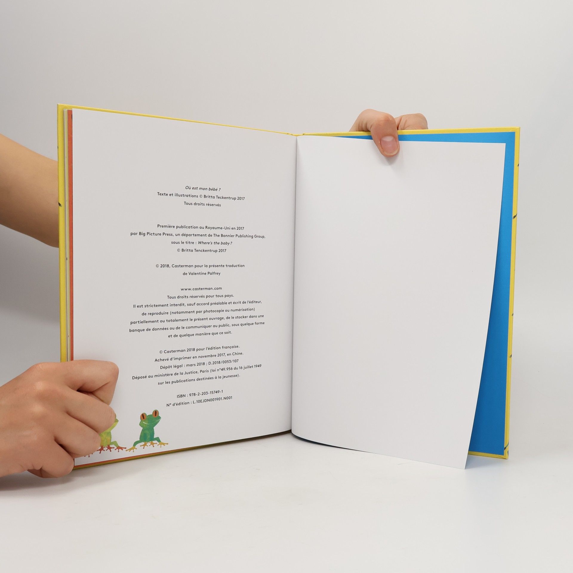 Britta Teckentrup Cherche et trouve - Où est mon bébé ?