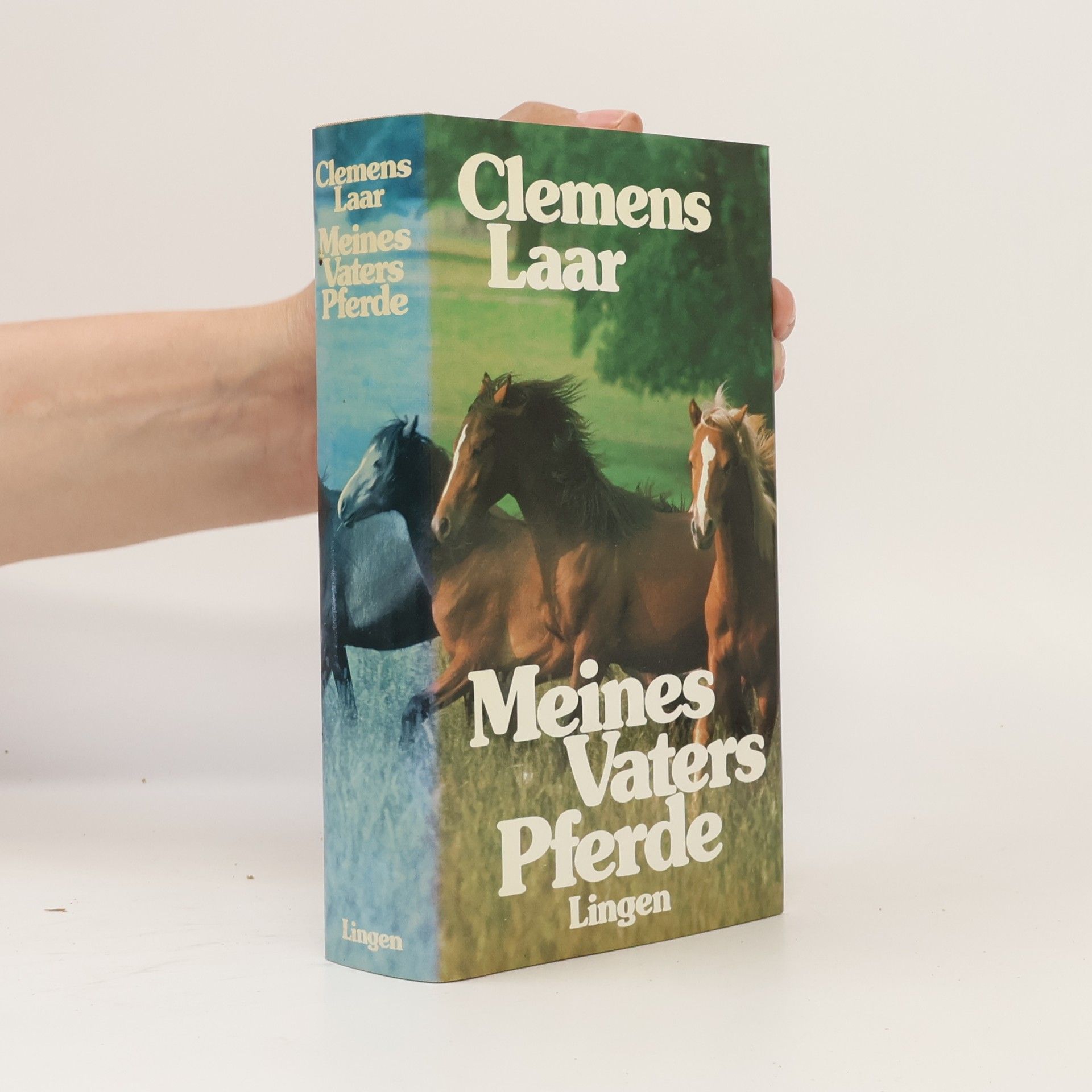Clemens Laar Meines Vaters Pferde