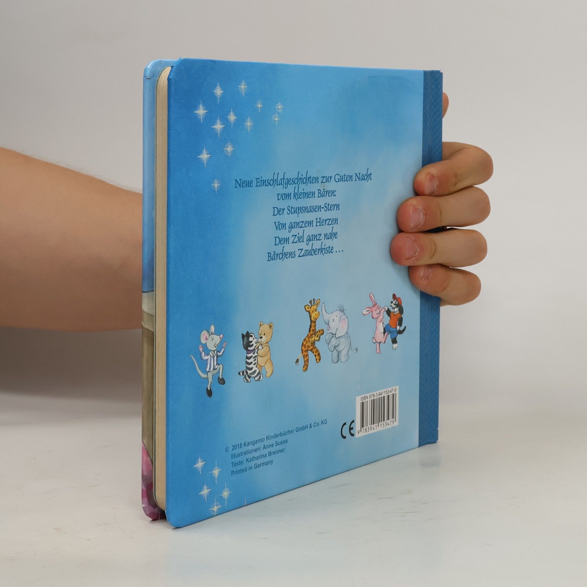 Anne Suess Neue Einschlafgeschichten zur Guten Nacht vom kleinen Bären