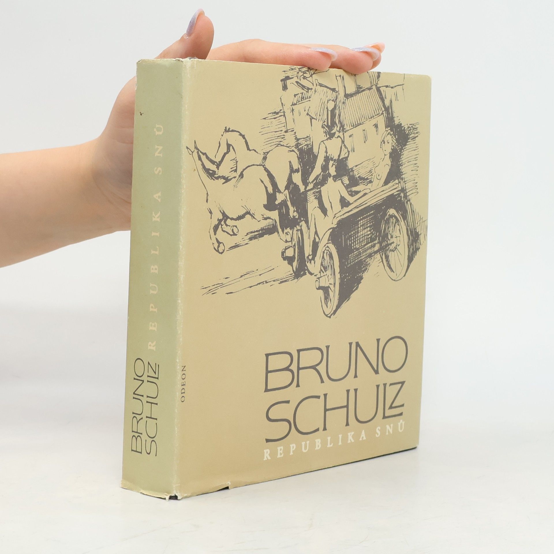 Bruno Schulz Republika snů