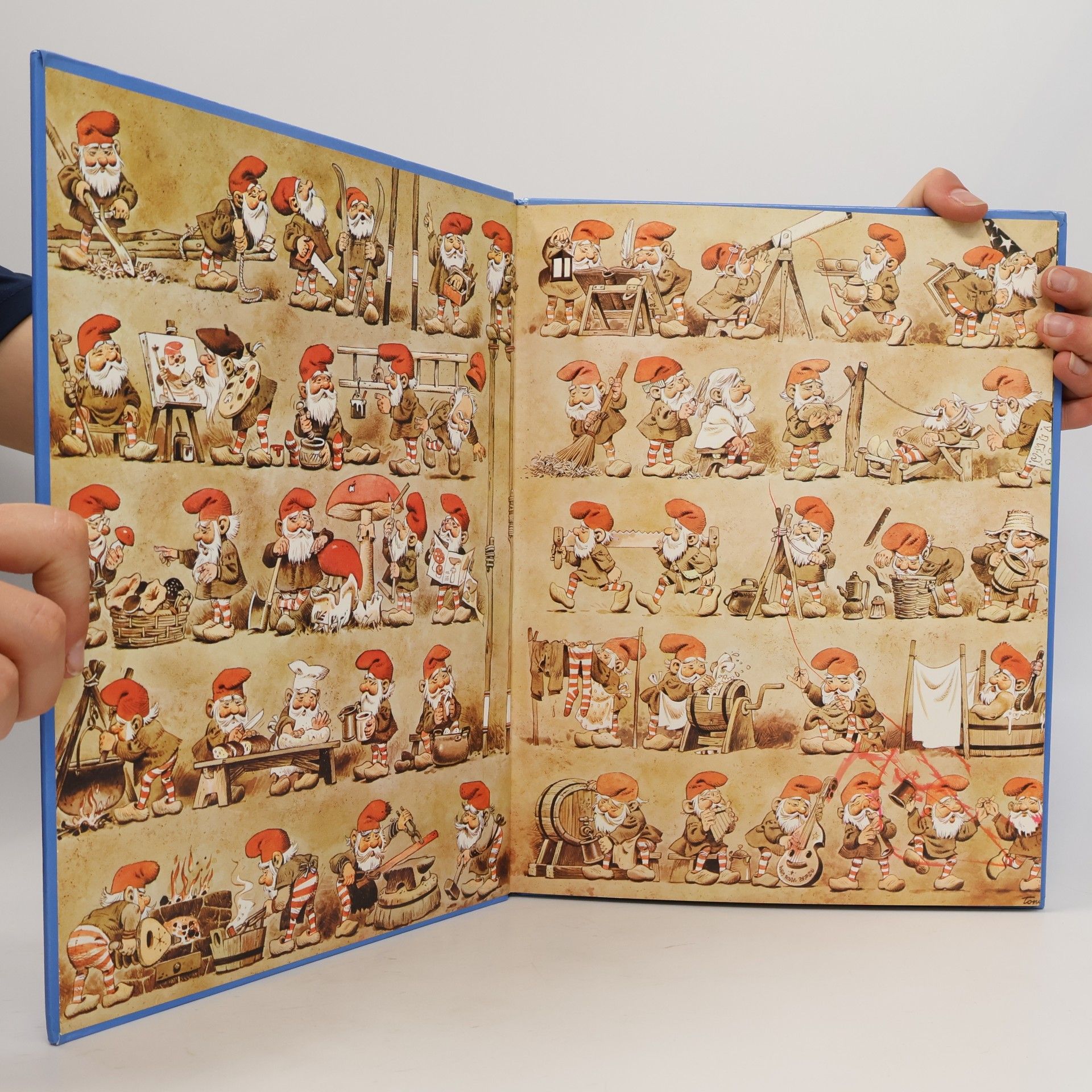 Tony Wolf Les Gnomes 2