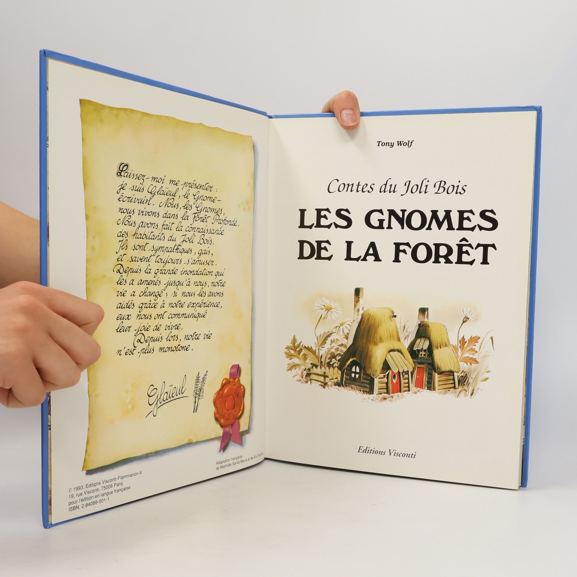 Tony Wolf Les Gnomes 2