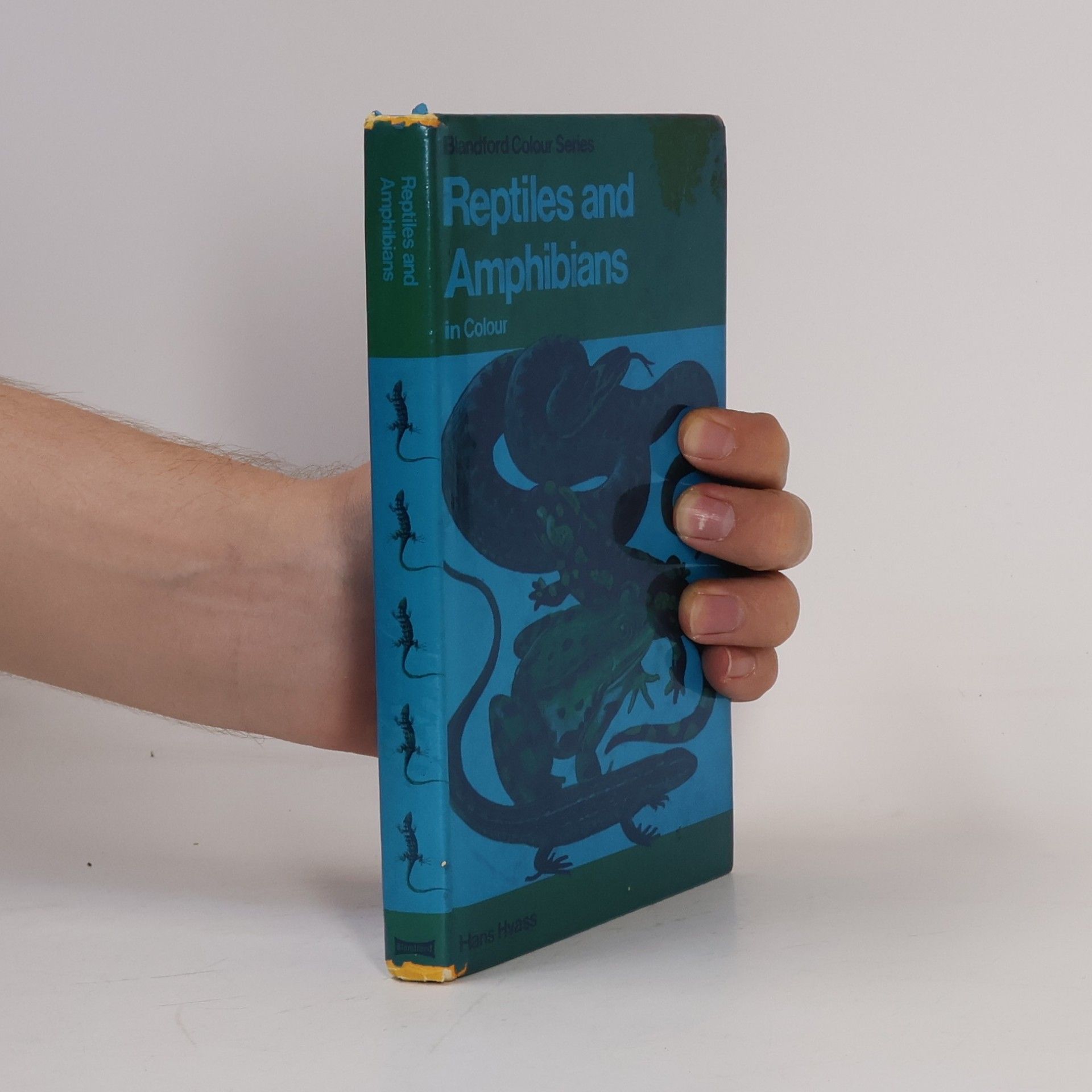 Reptiles and Amphibians in Colour