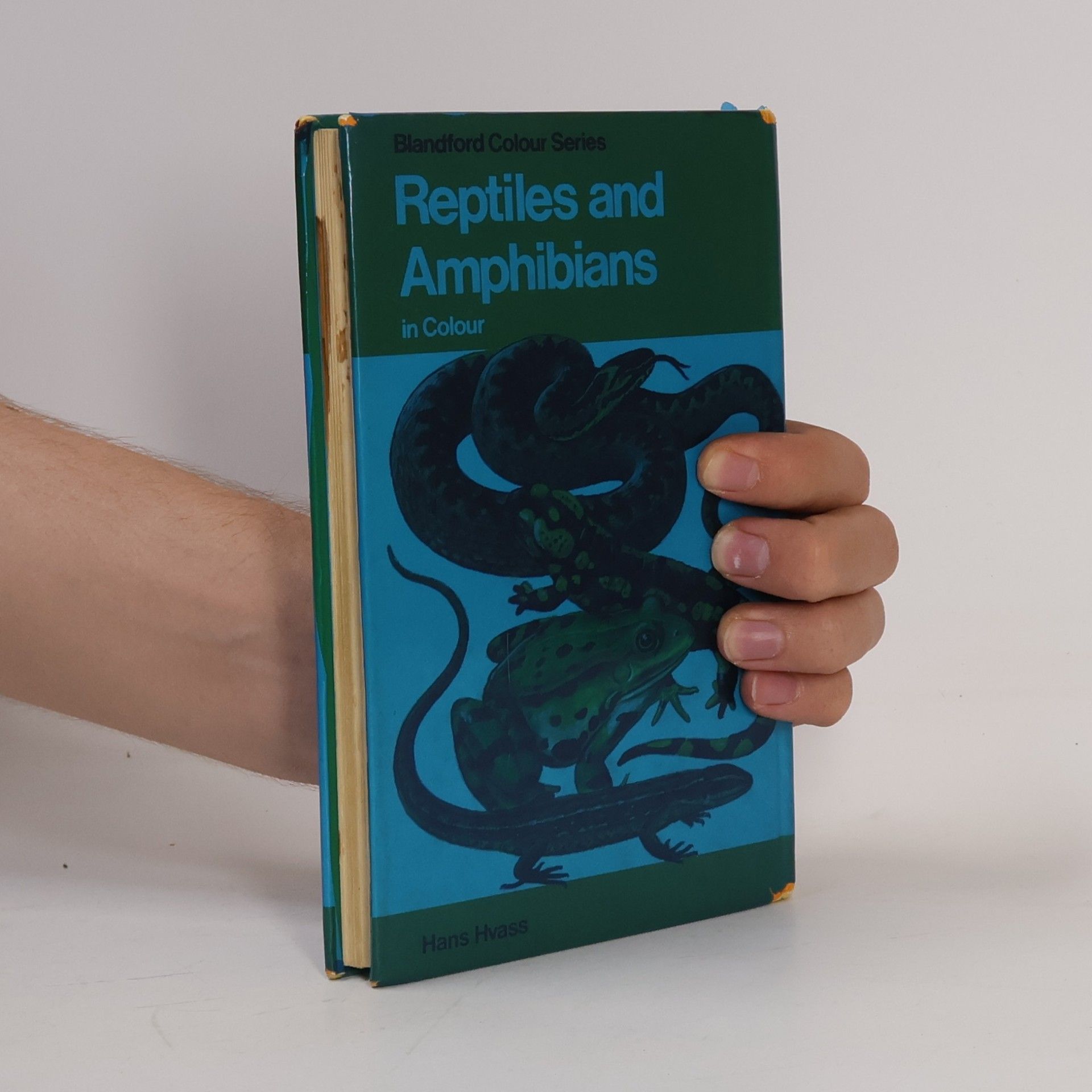 Gwynne Vevers Reptiles and Amphibians in Colour