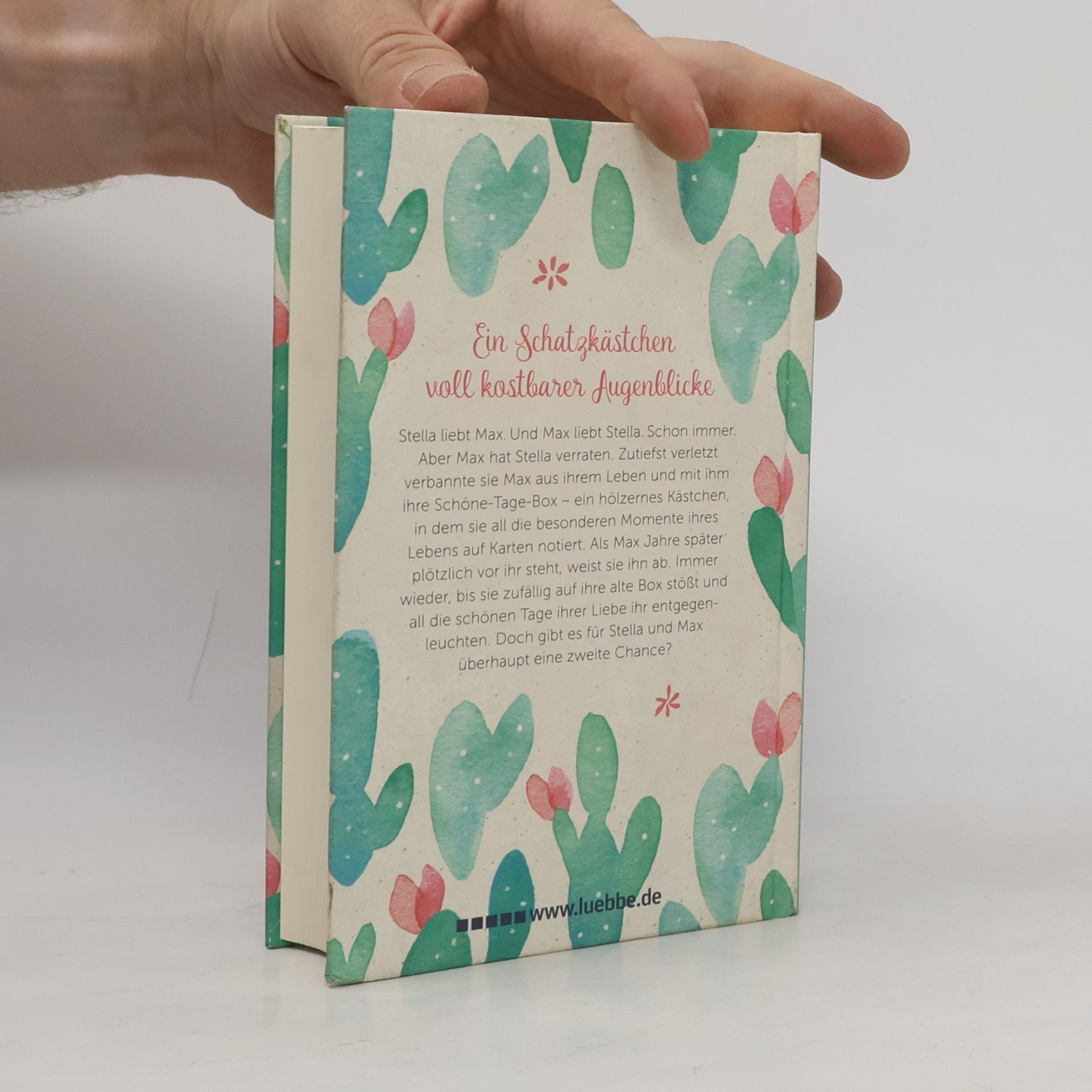 Julia Kaufhold All die schönen Tage