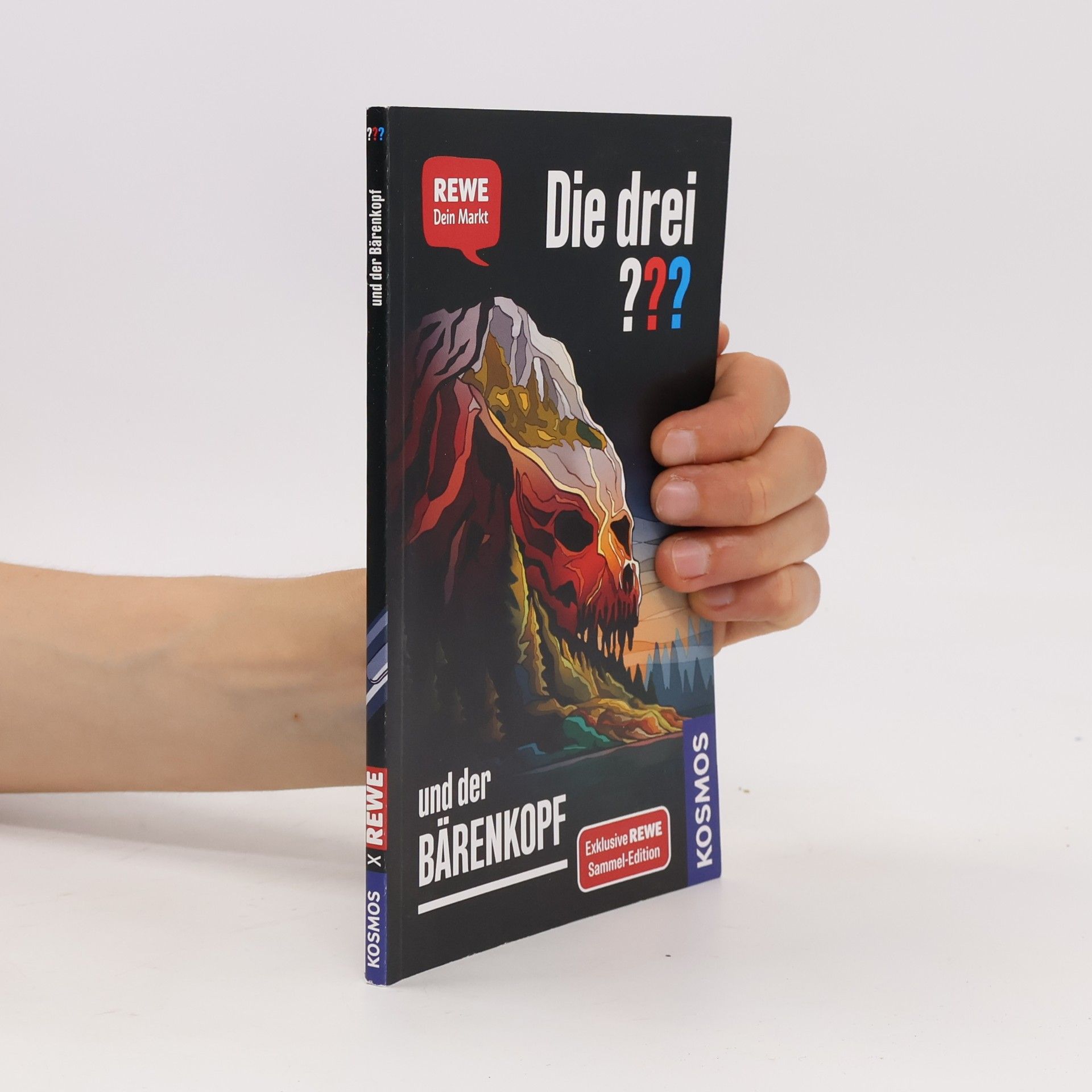 Andreas Ruch Die drei ??? und der Bärenkopf