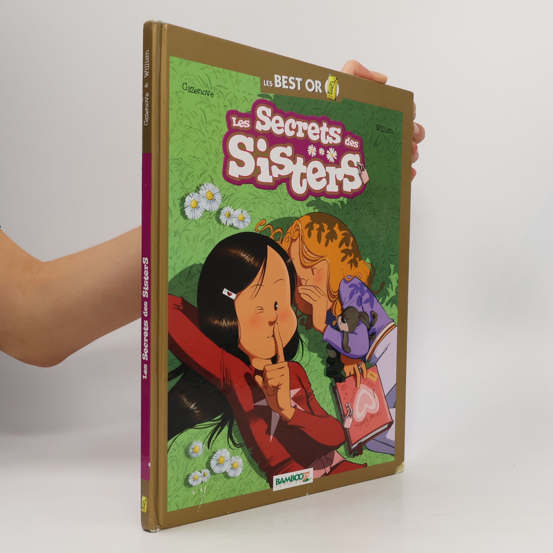 Les Sisters - Best Or - Le secret des Sisters