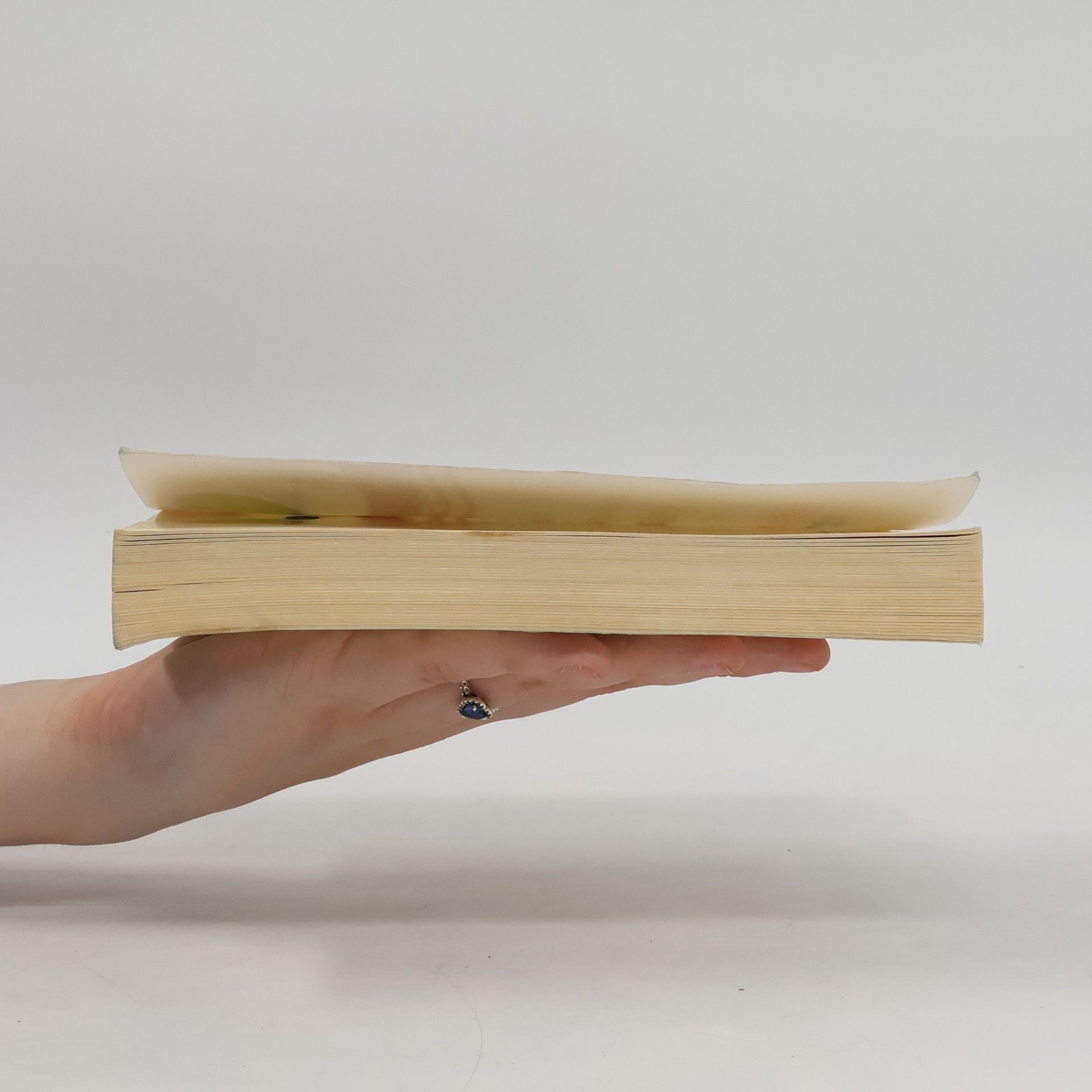 Yōko Ogawa Das Geheimnis der Eulerschen Formel