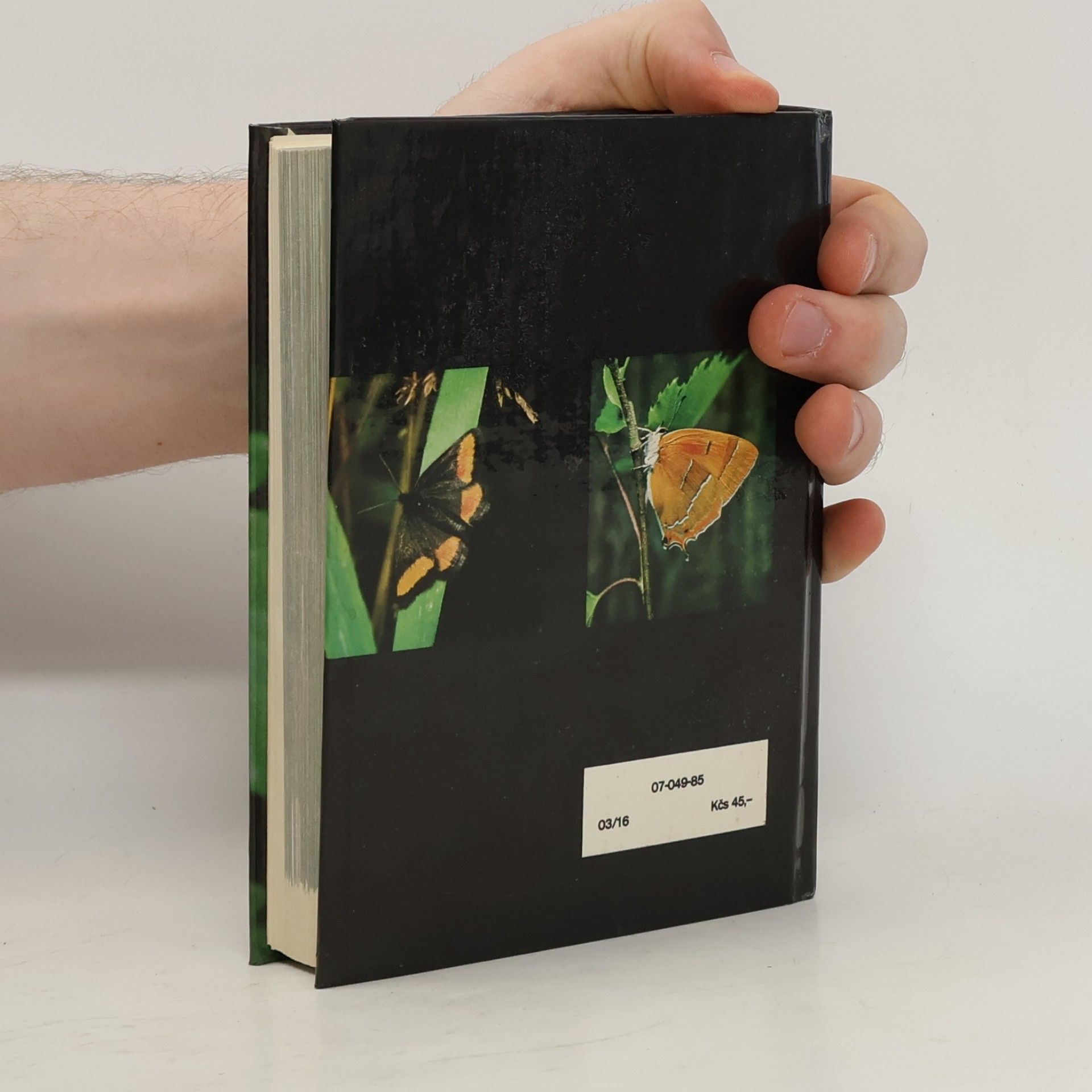 Rudolf Hrabák Kapesní atlas našich motýlů