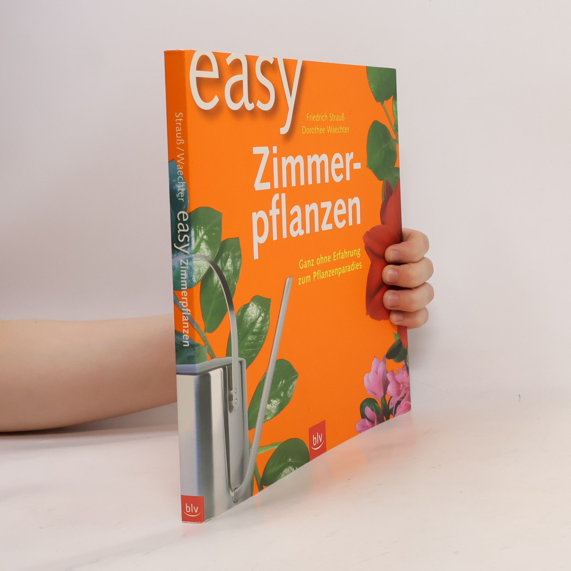 Easy Zimmerpflanzen