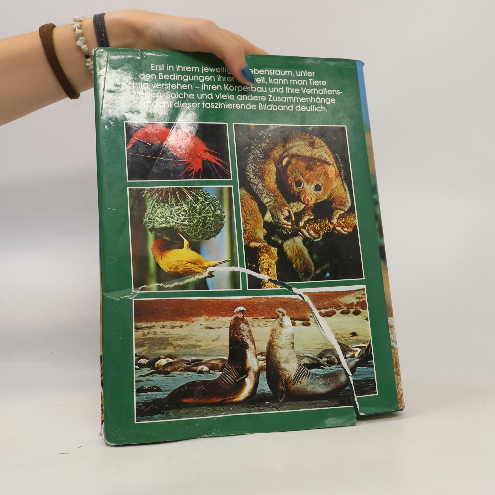 A. Blair-Rains Bildatlas der Tierwelt